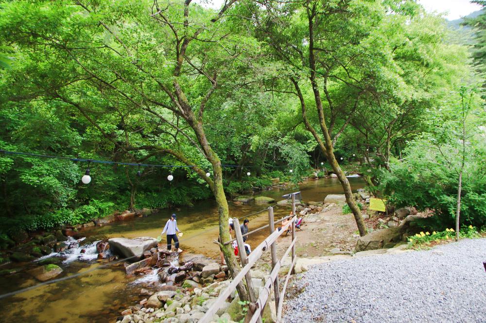 유포리아 캠핑장