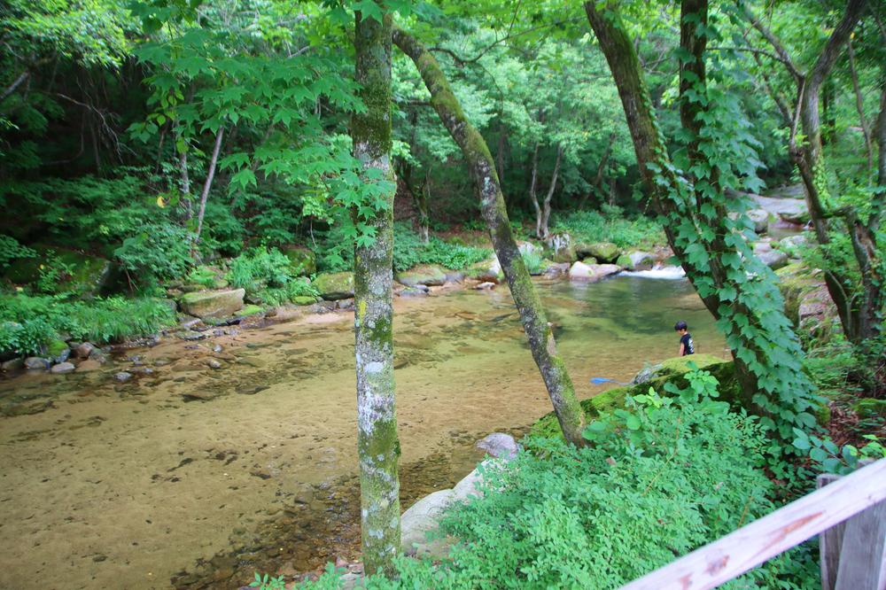 유포리아 캠핑장
