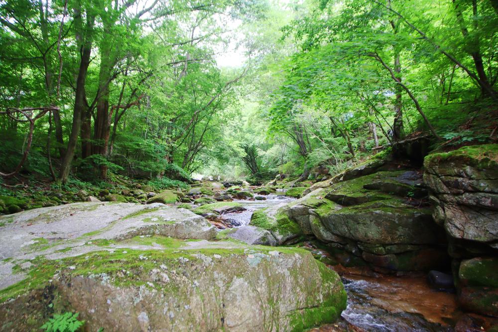 유포리아 캠핑장