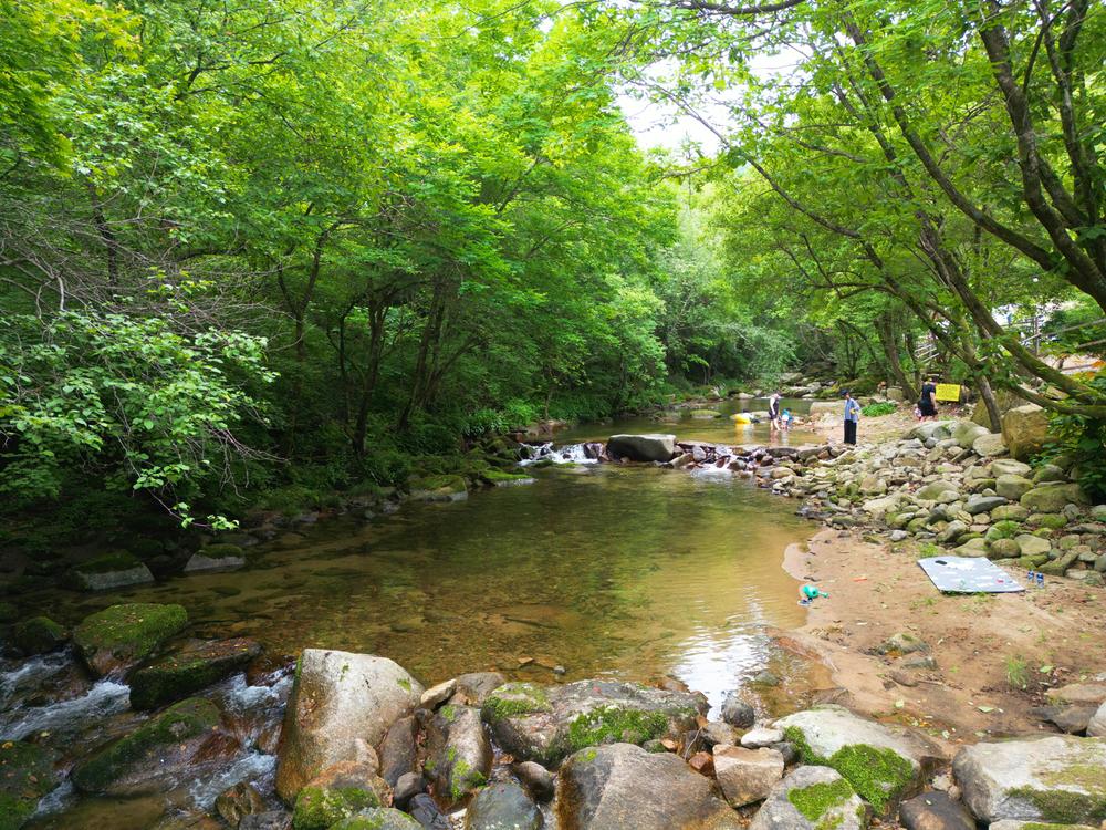 유포리아 캠핑장