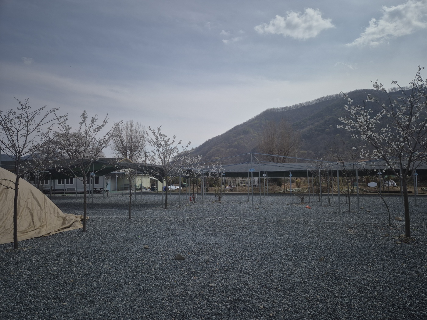 장미길 테마 야영장 4번째 이미지