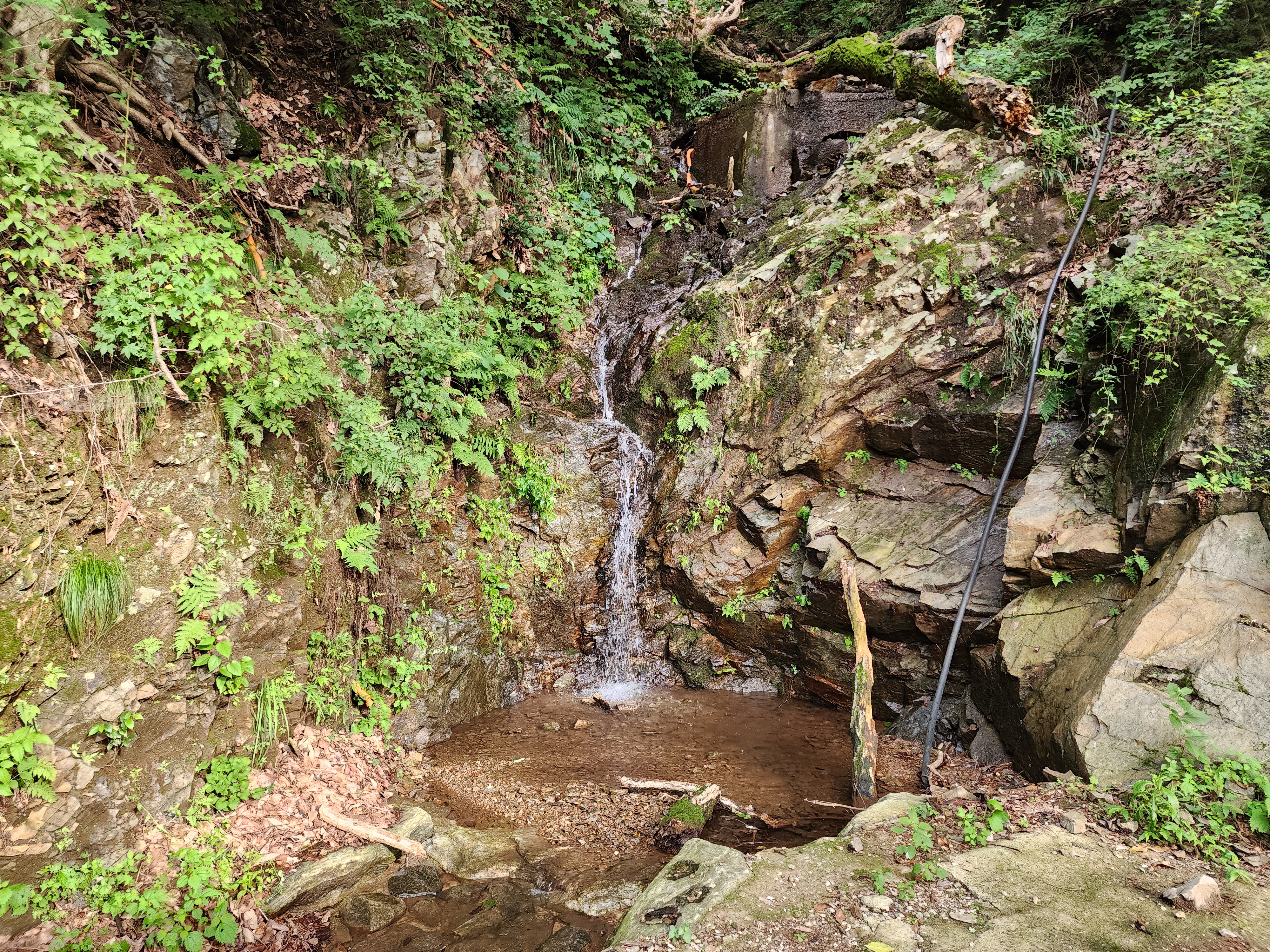 양주 장흥 브이아이피 캠핑장 20번째 이미지