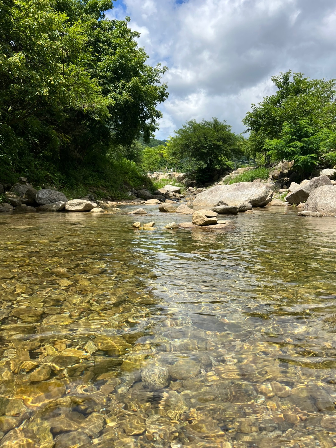 포레스트리 캠핑장 4번째 이미지