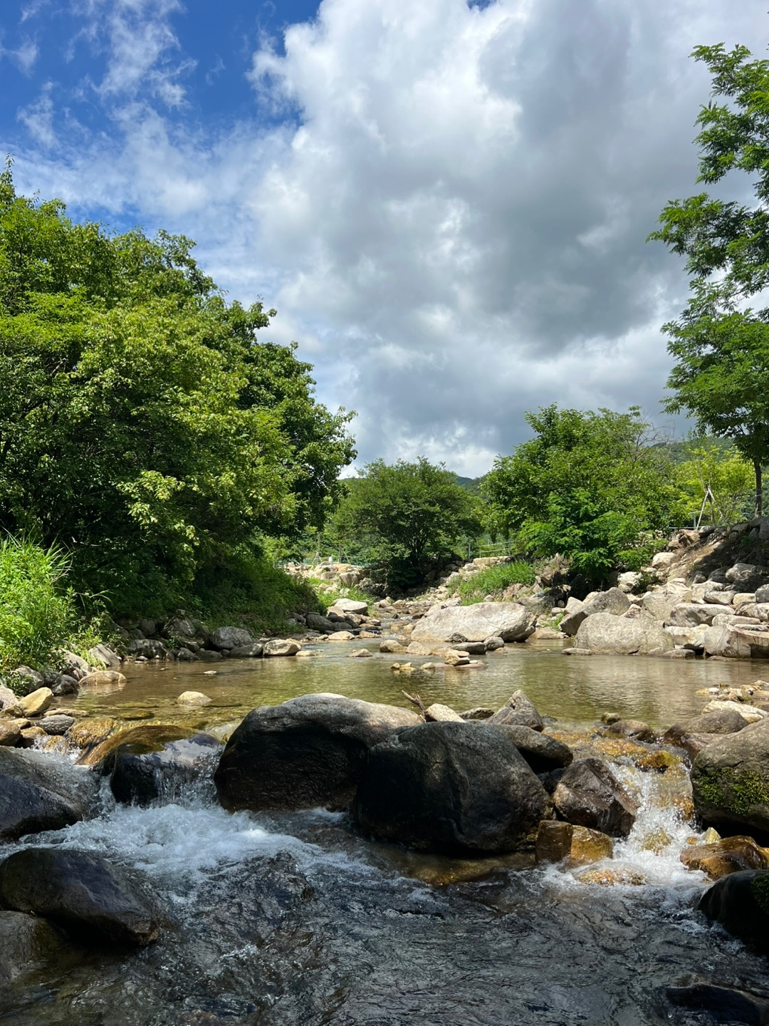 포레스트리 캠핑장 5번째 이미지