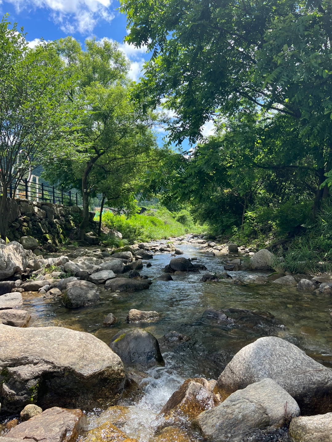 포레스트리 캠핑장 6번째 이미지