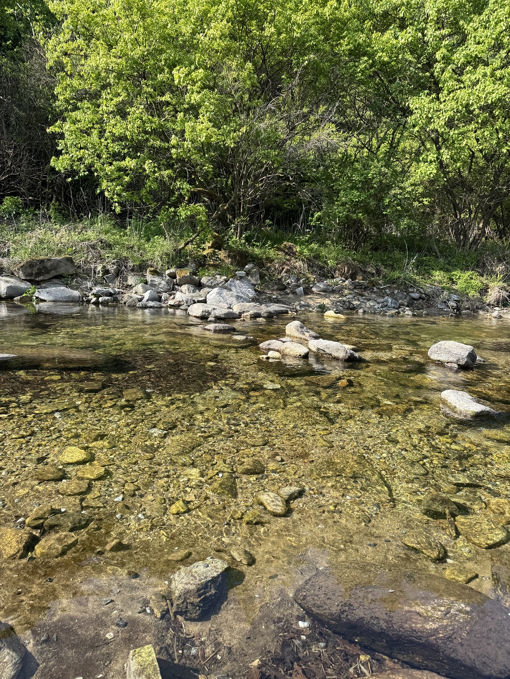포레스트리 캠핑장 3번째 이미지