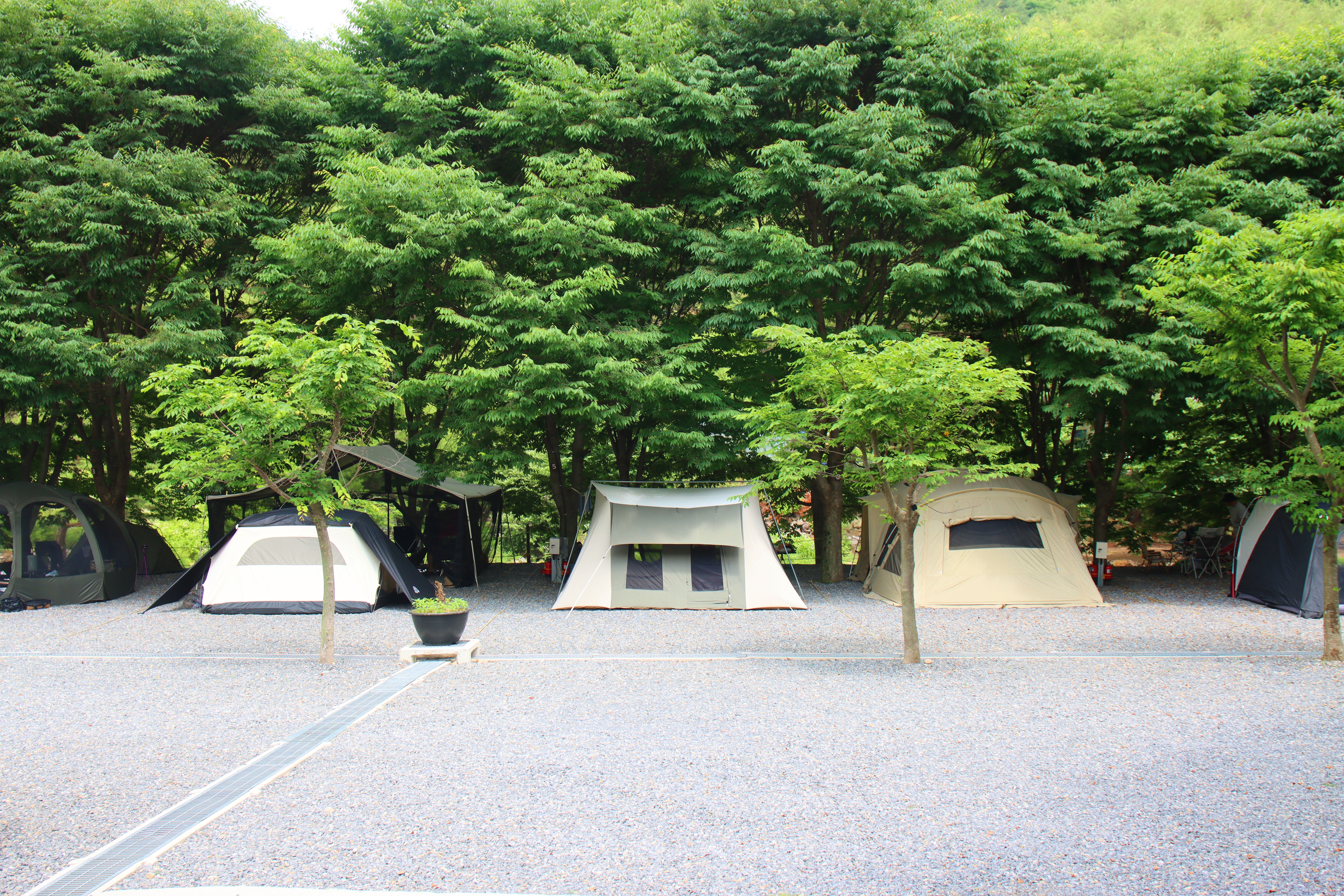 법흥계곡캠핑오늘 33번째 이미지