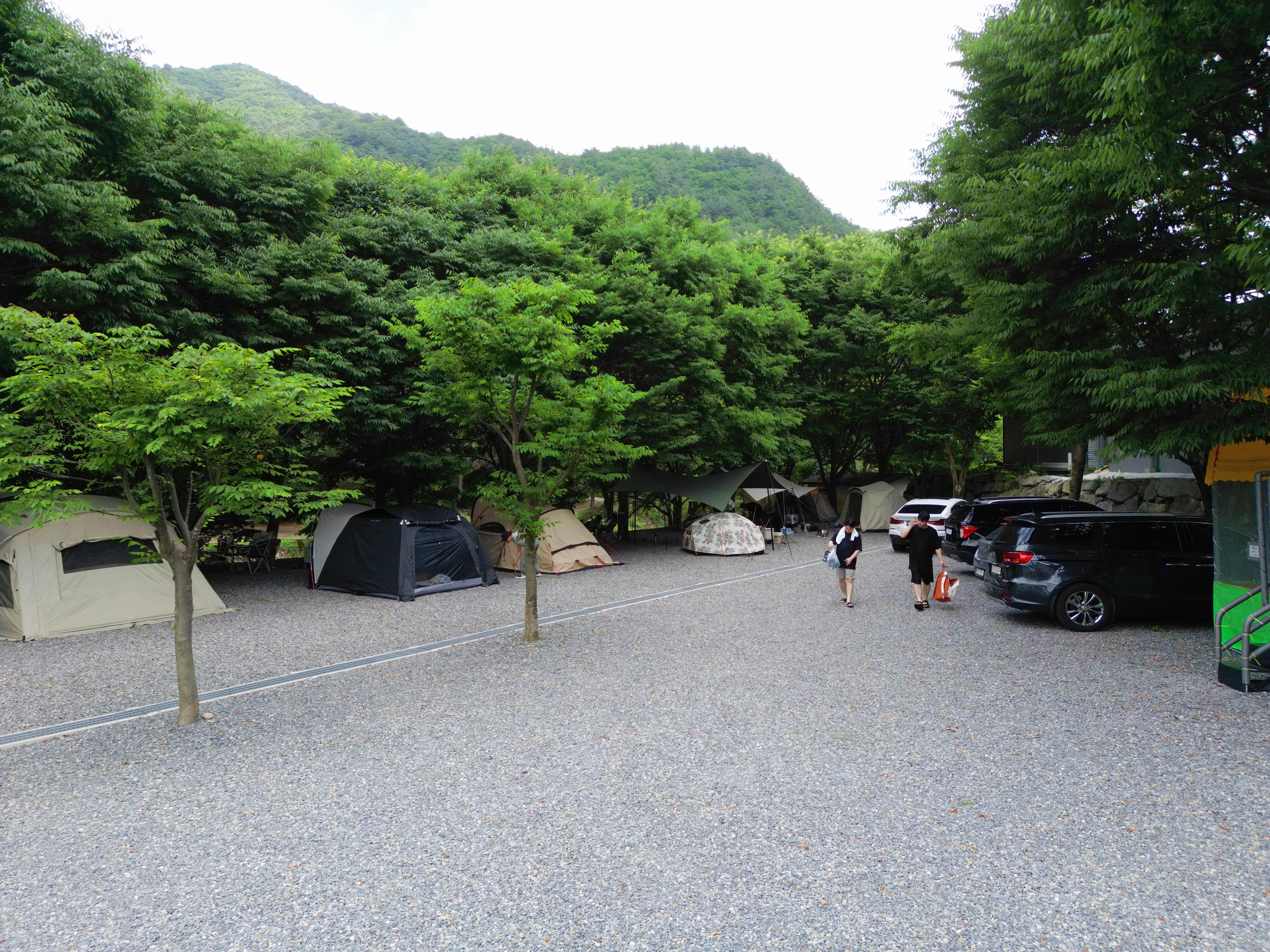 법흥계곡캠핑오늘 6번째 이미지