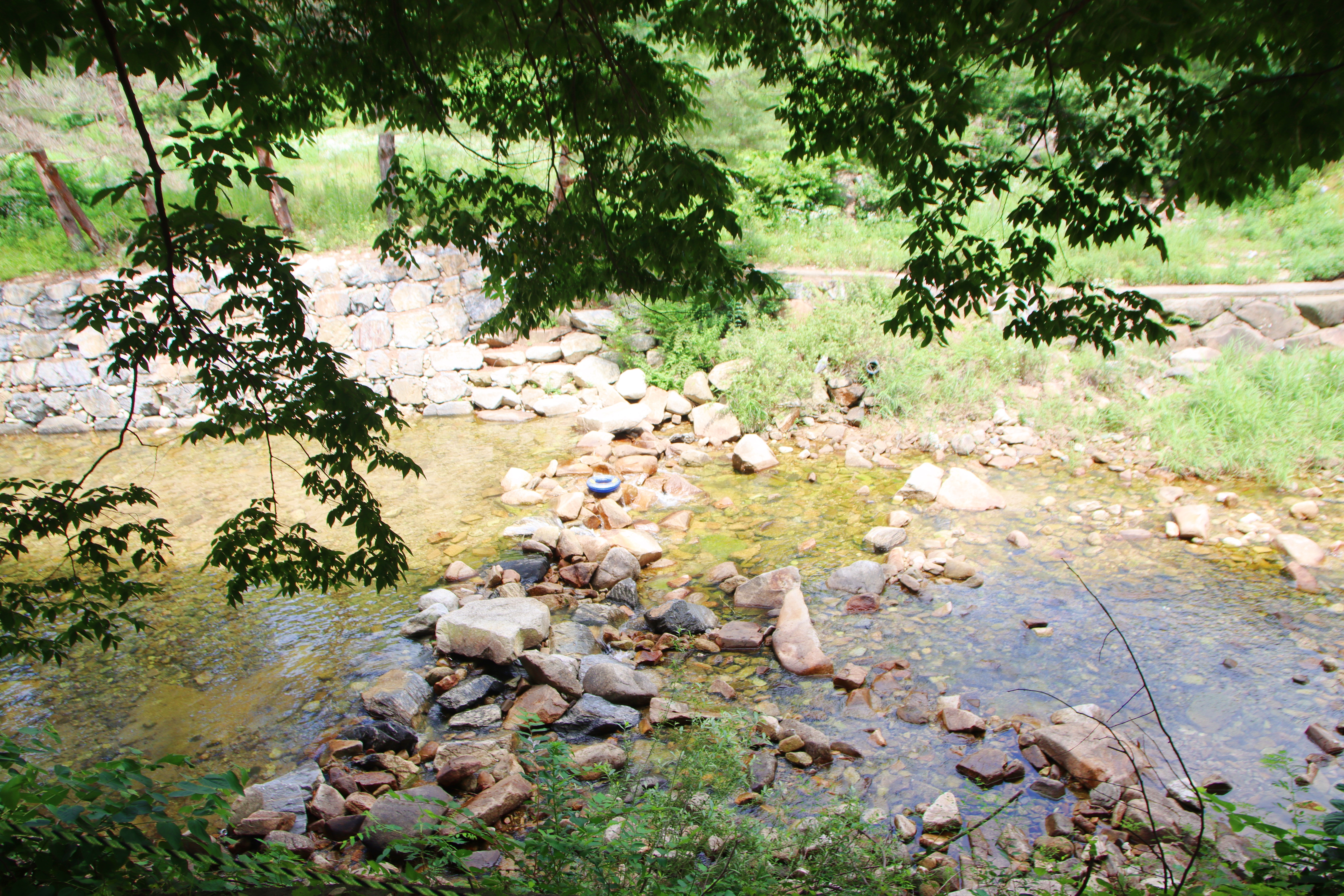 법흥계곡캠핑오늘 34번째 이미지