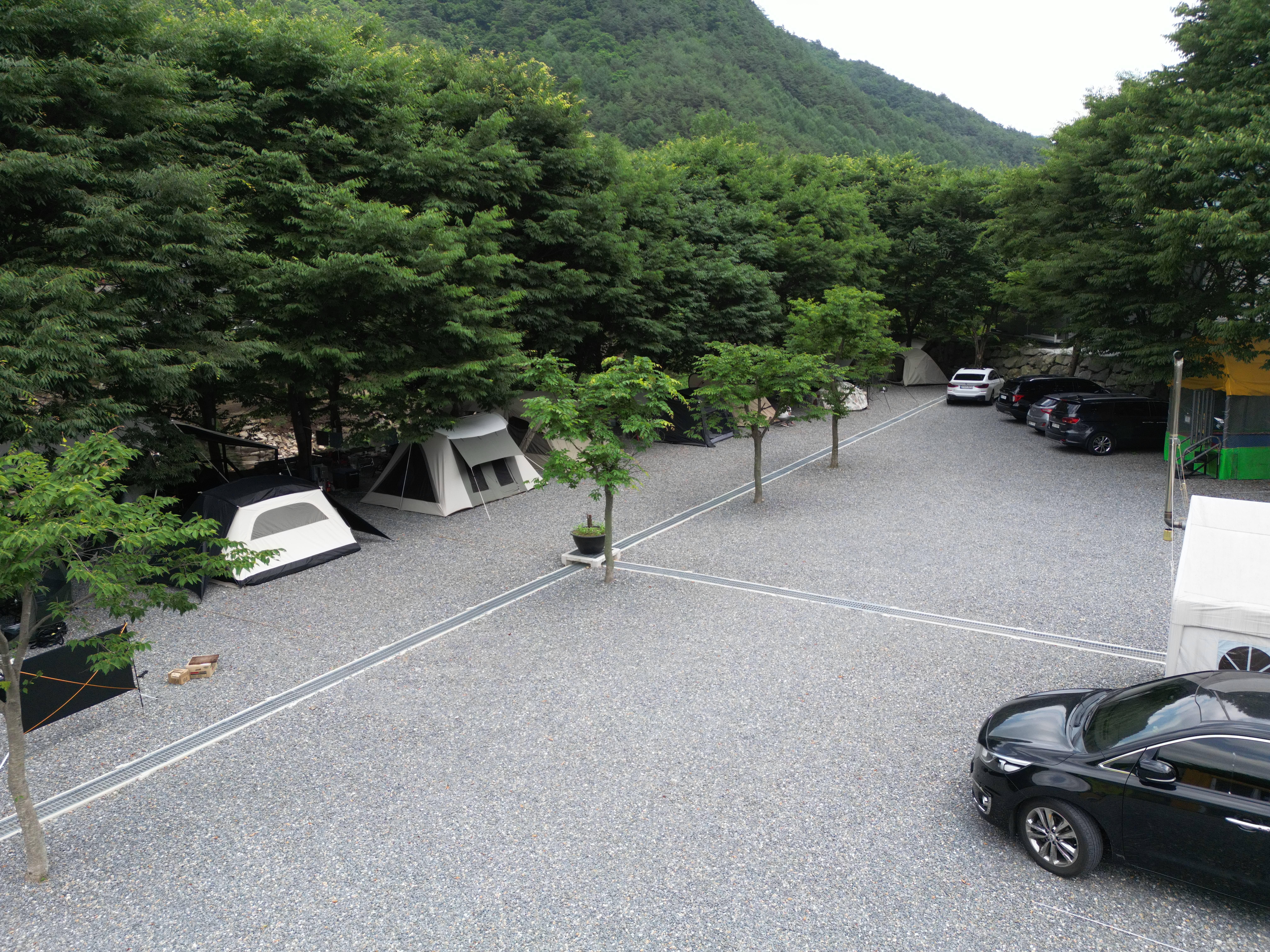 법흥계곡캠핑오늘 3번째 이미지