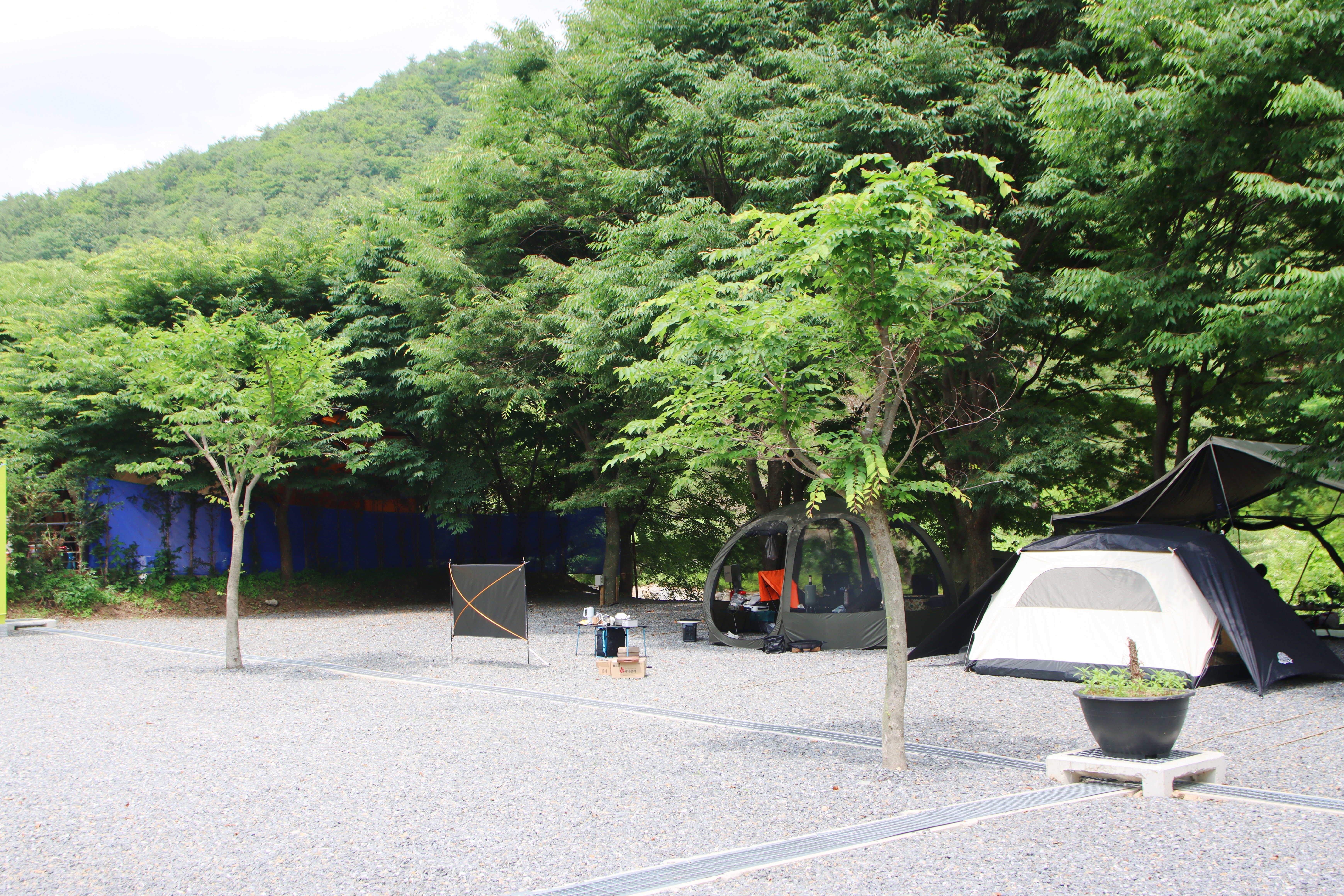 법흥계곡캠핑오늘 7번째 이미지