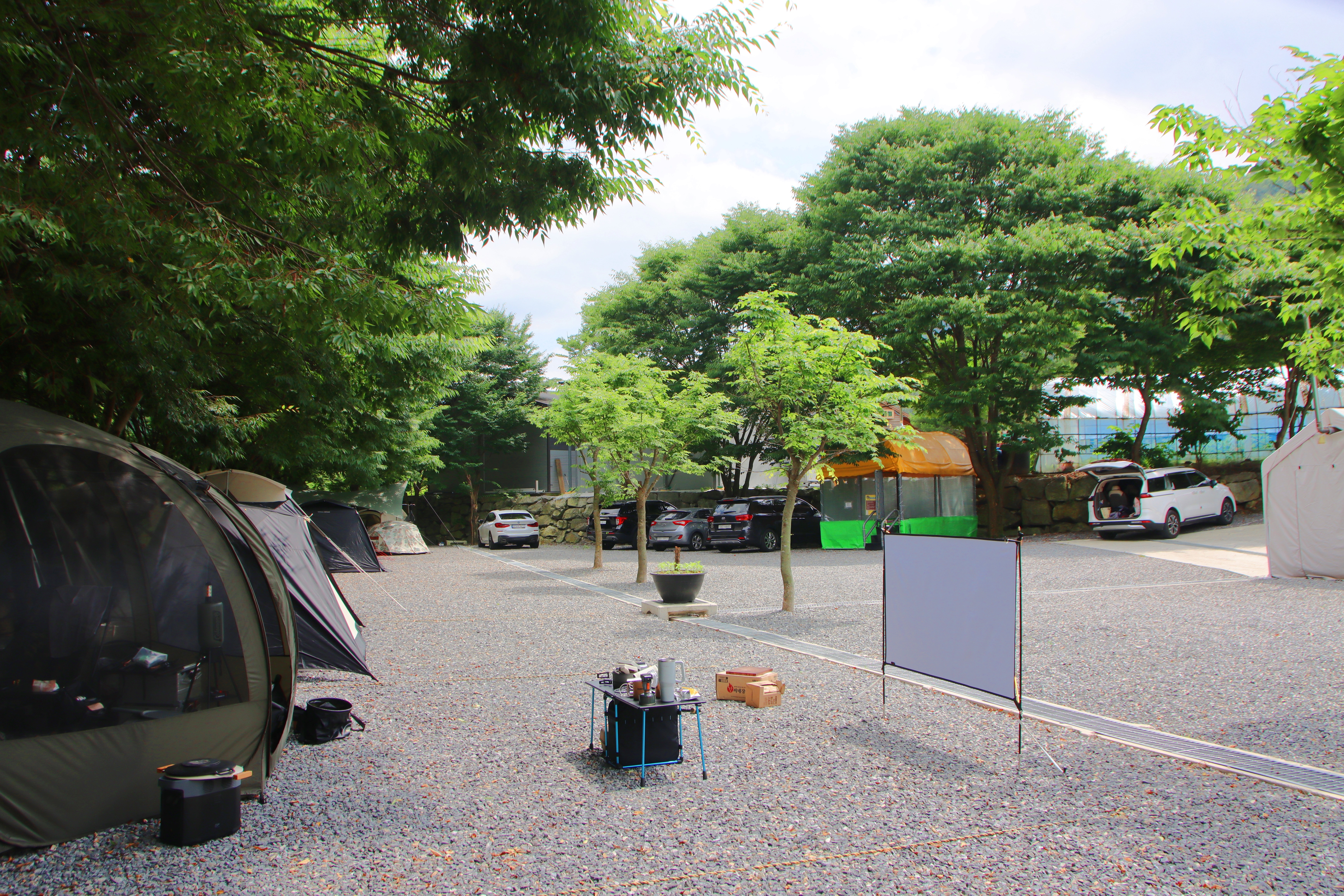 법흥계곡캠핑오늘 12번째 이미지