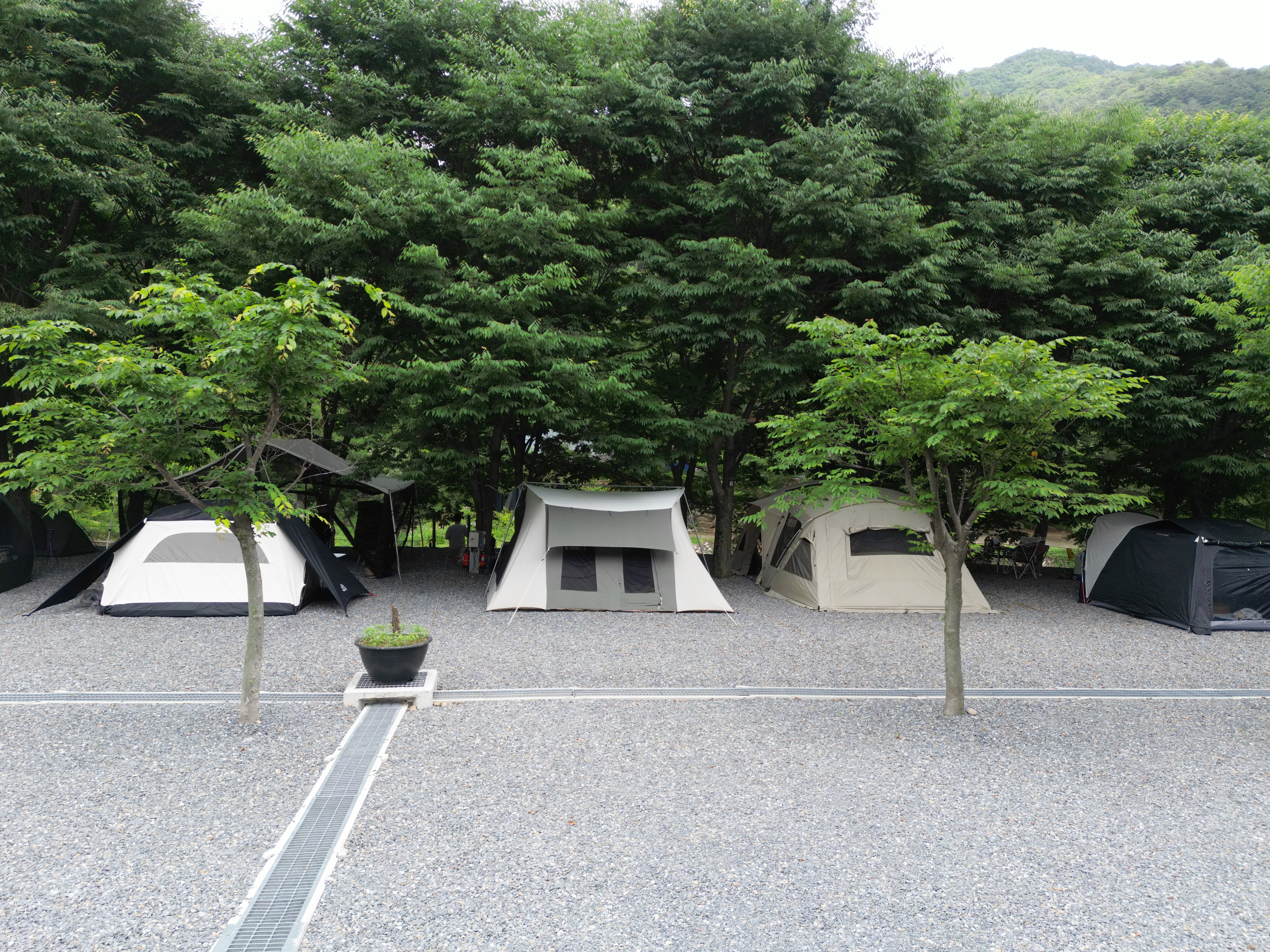 법흥계곡캠핑오늘 5번째 이미지