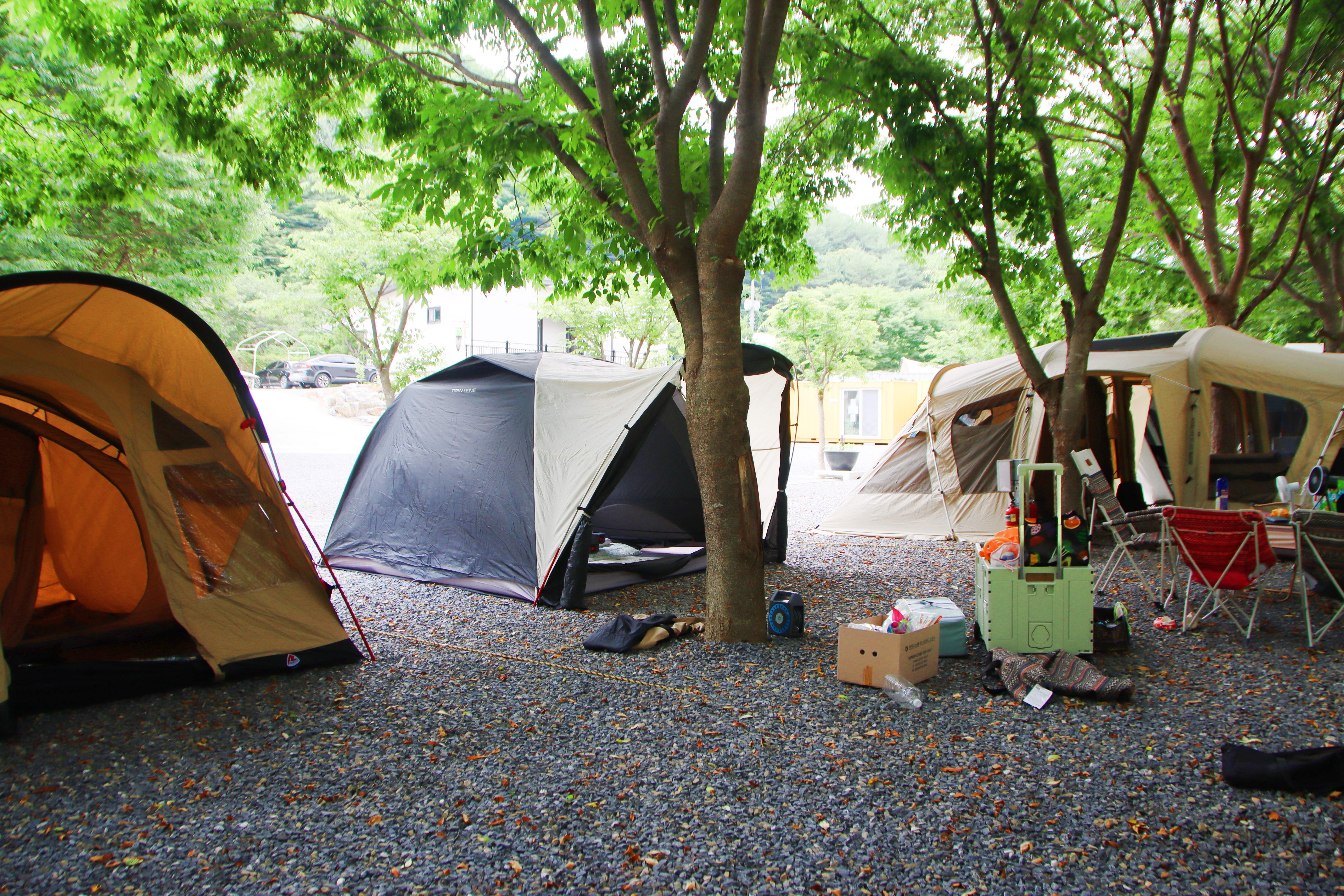 법흥계곡캠핑오늘 17번째 이미지