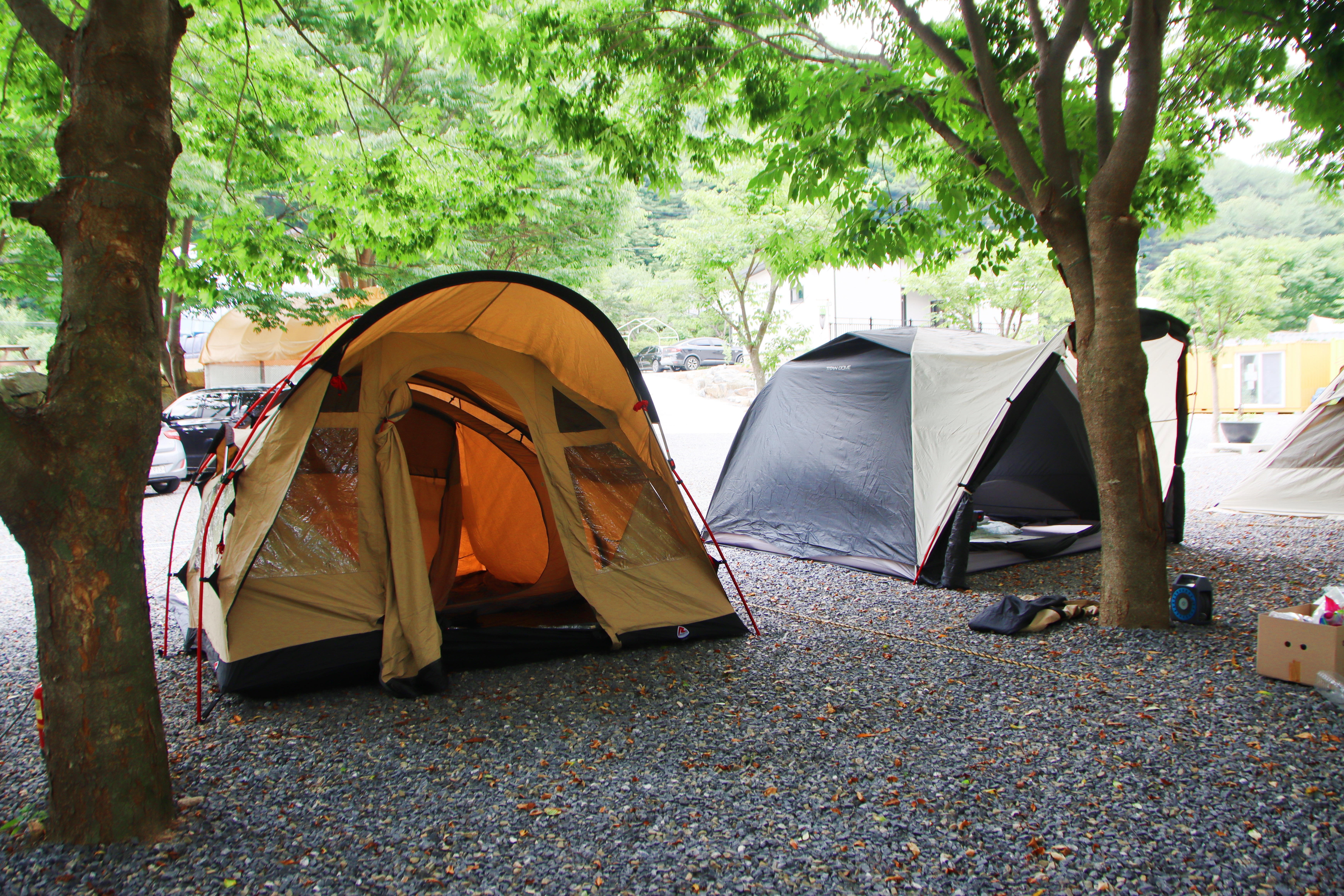 법흥계곡캠핑오늘 35번째 이미지