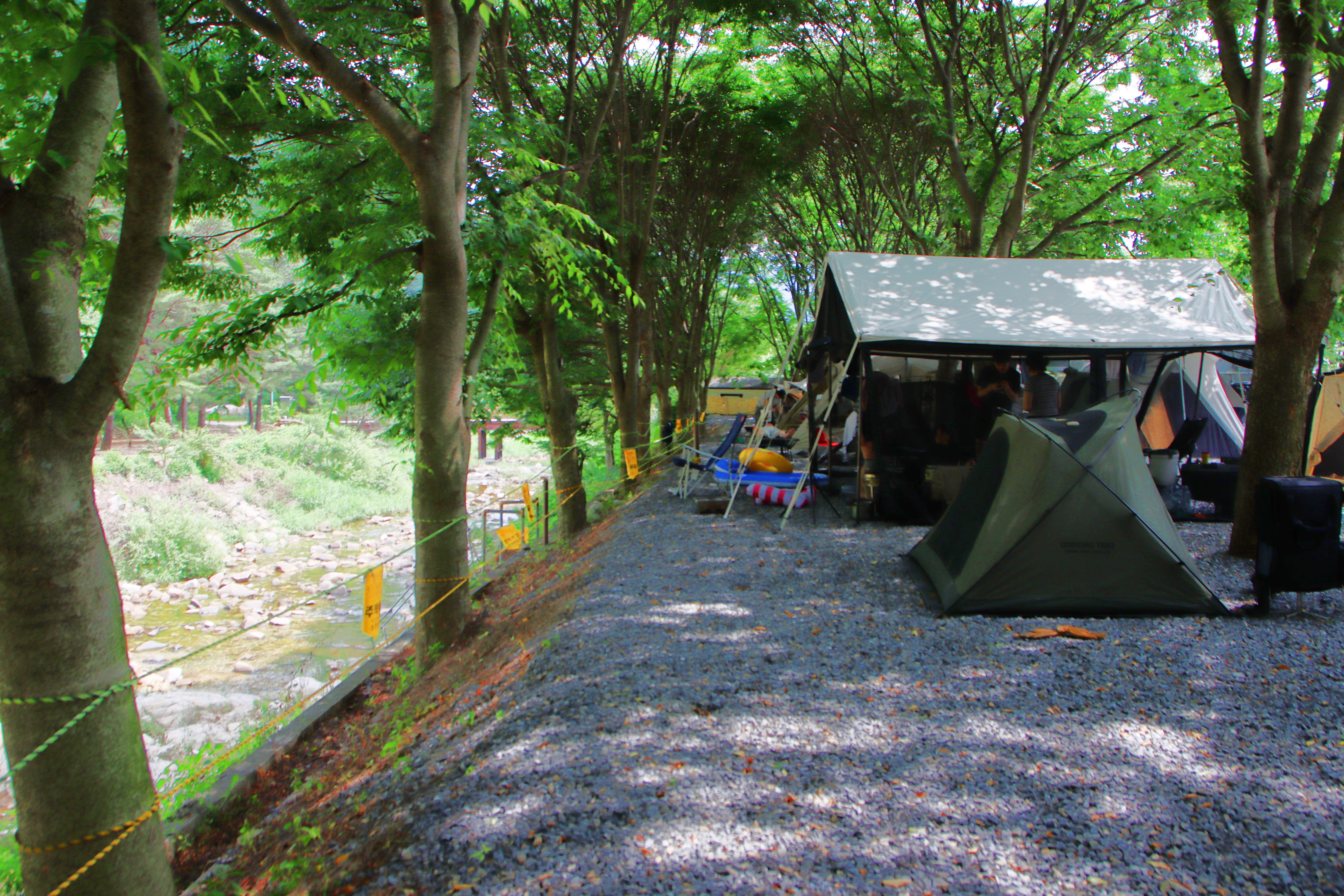 법흥계곡캠핑오늘 13번째 이미지