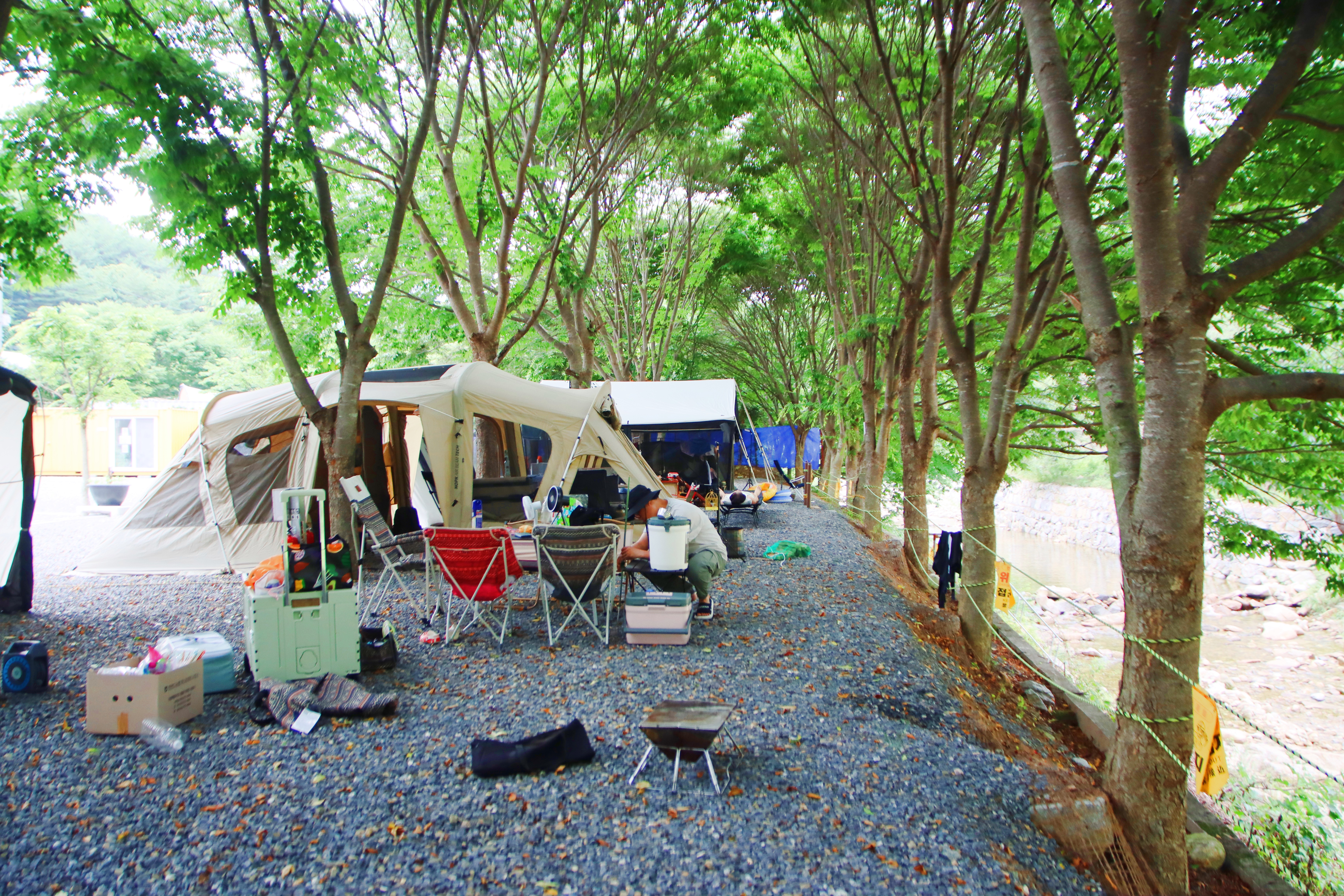 법흥계곡캠핑오늘 18번째 이미지