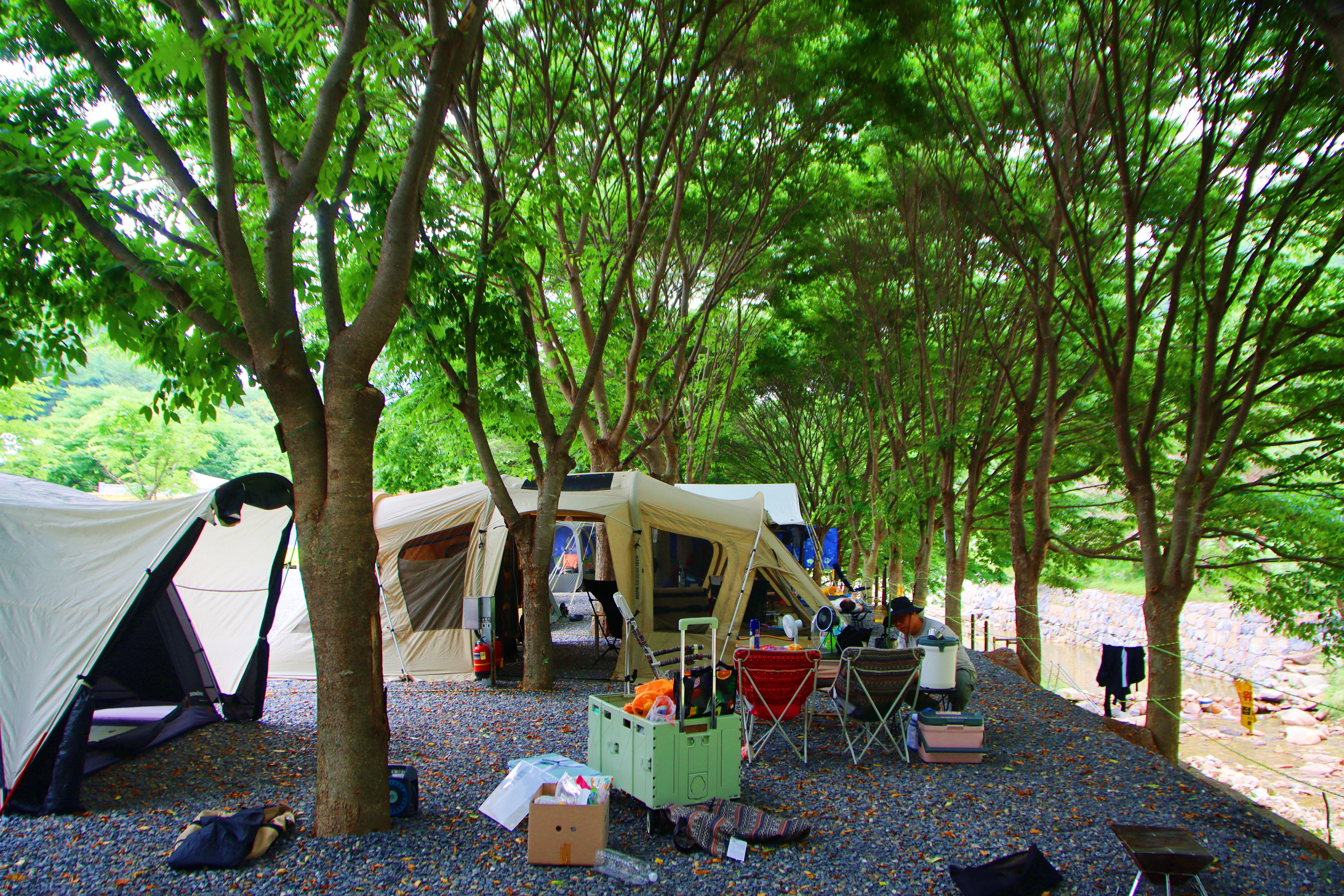 법흥계곡캠핑오늘 19번째 이미지