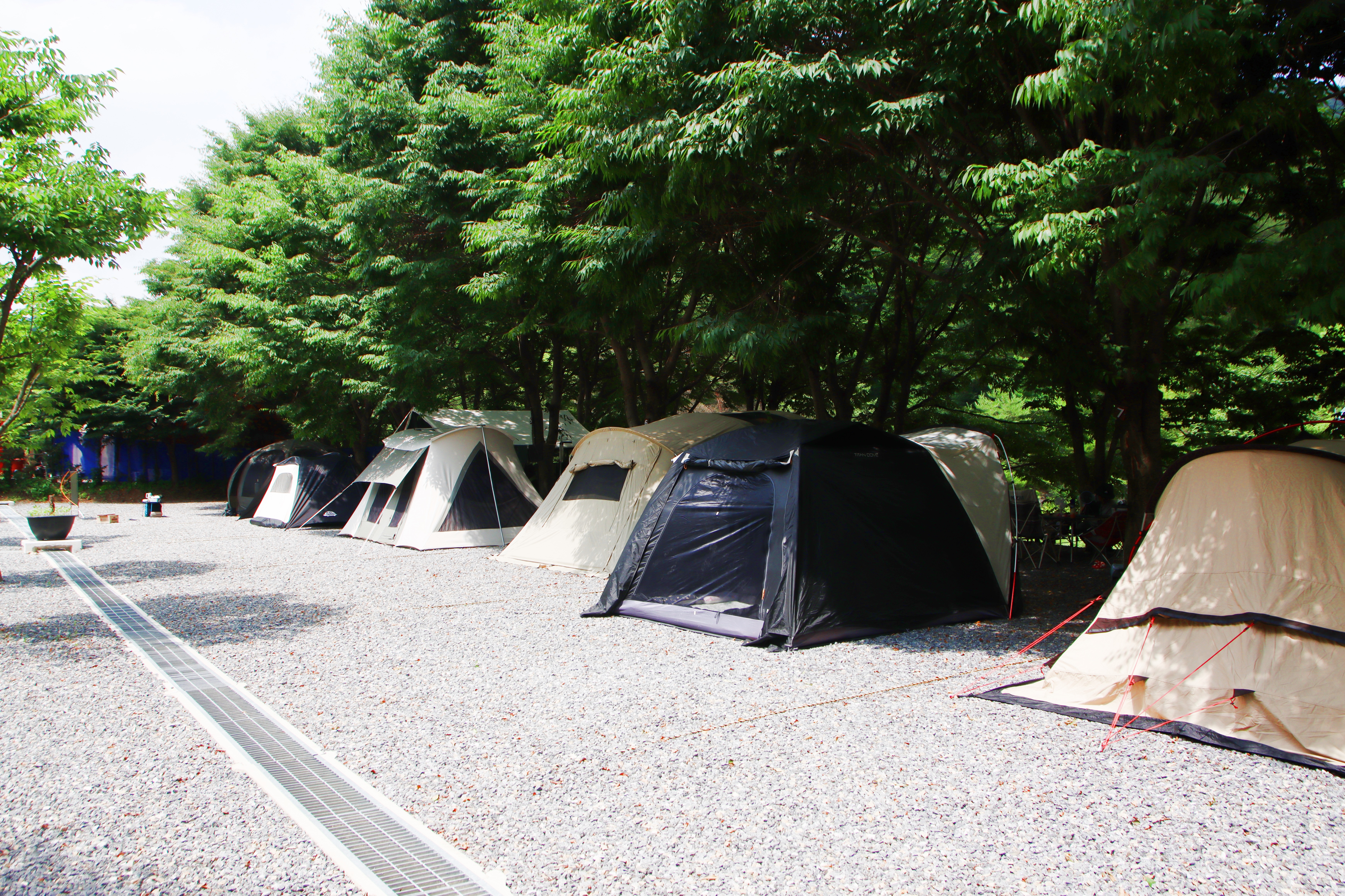 법흥계곡캠핑오늘 22번째 이미지