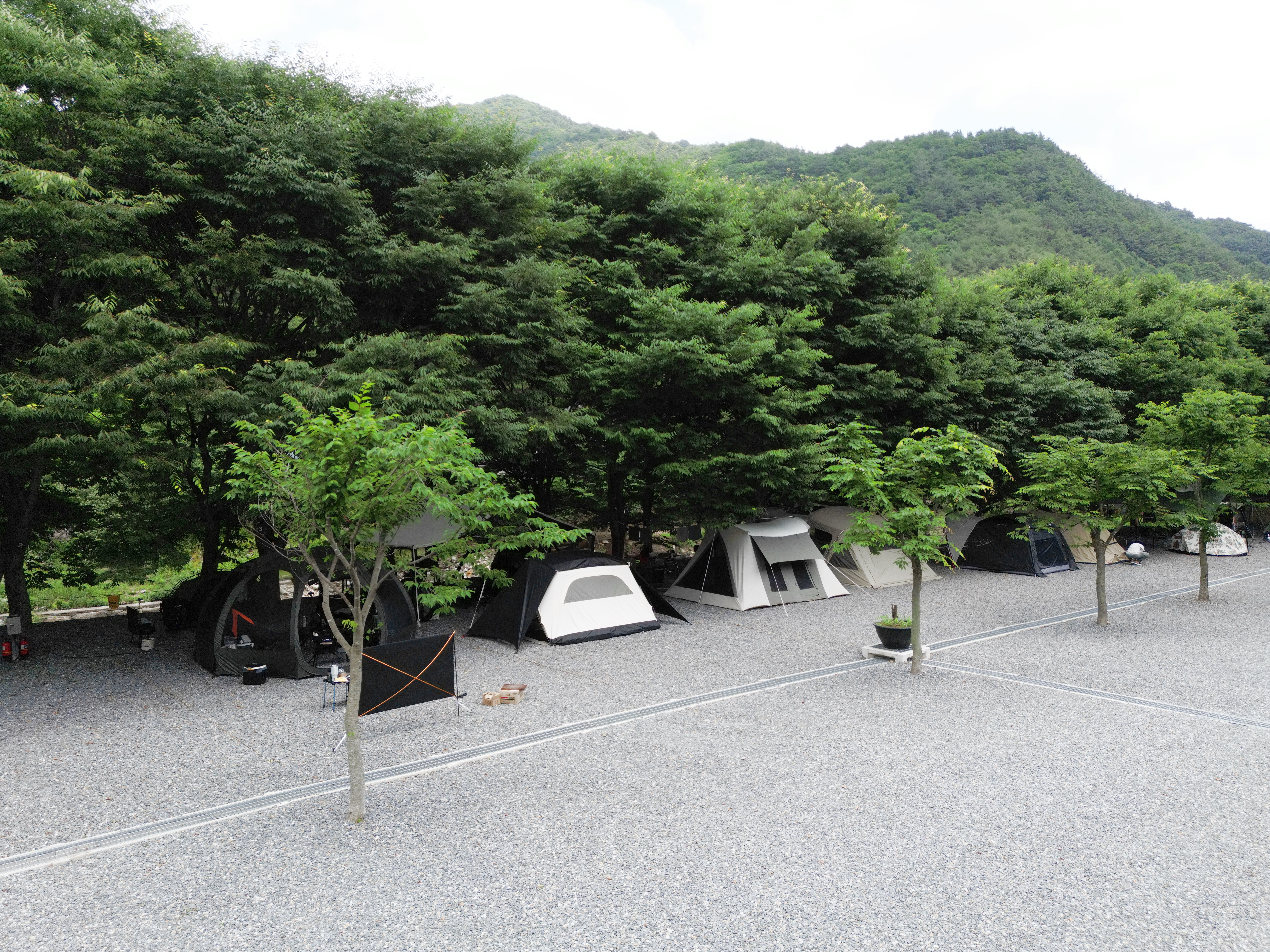 법흥계곡캠핑오늘 4번째 이미지