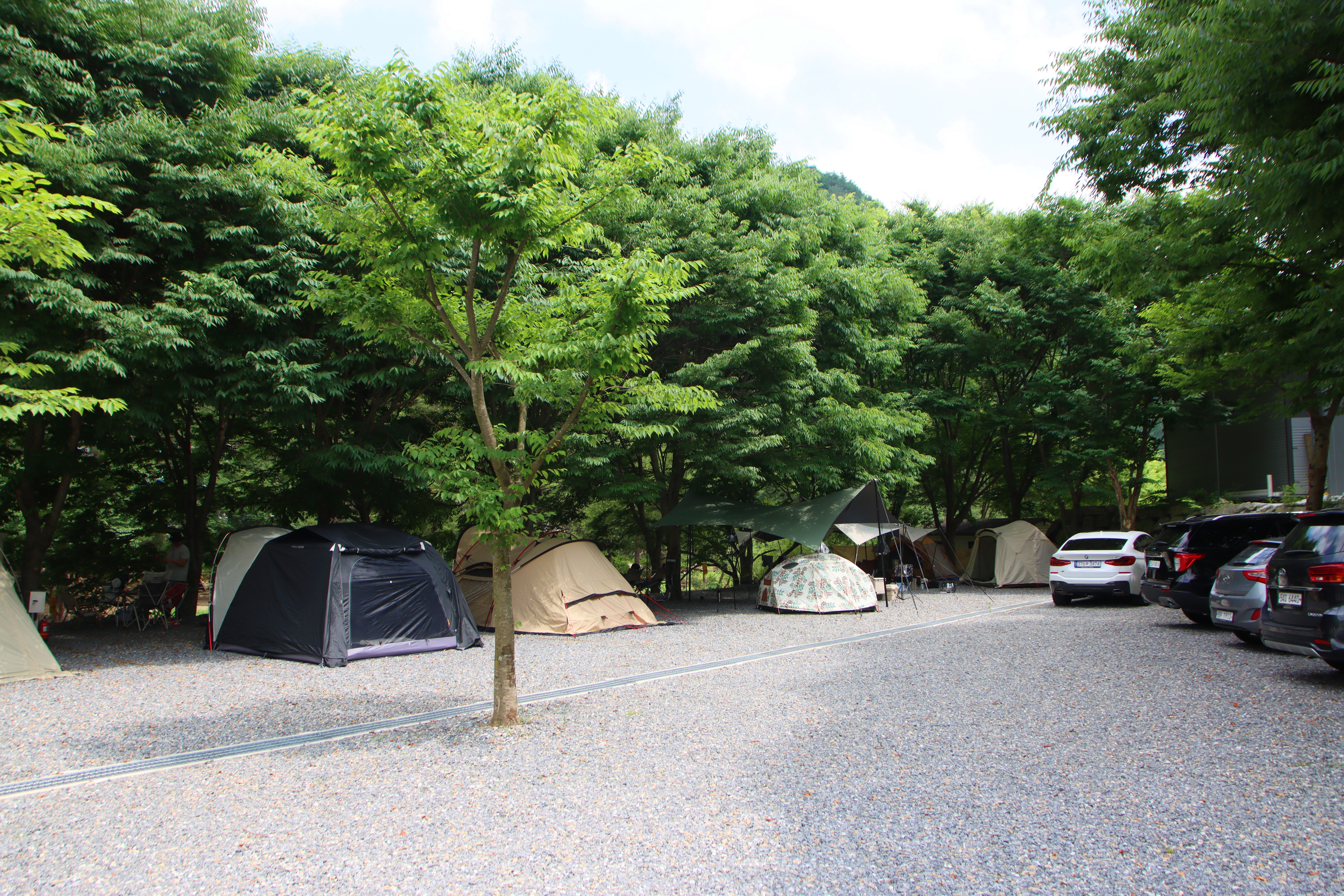 법흥계곡캠핑오늘 8번째 이미지