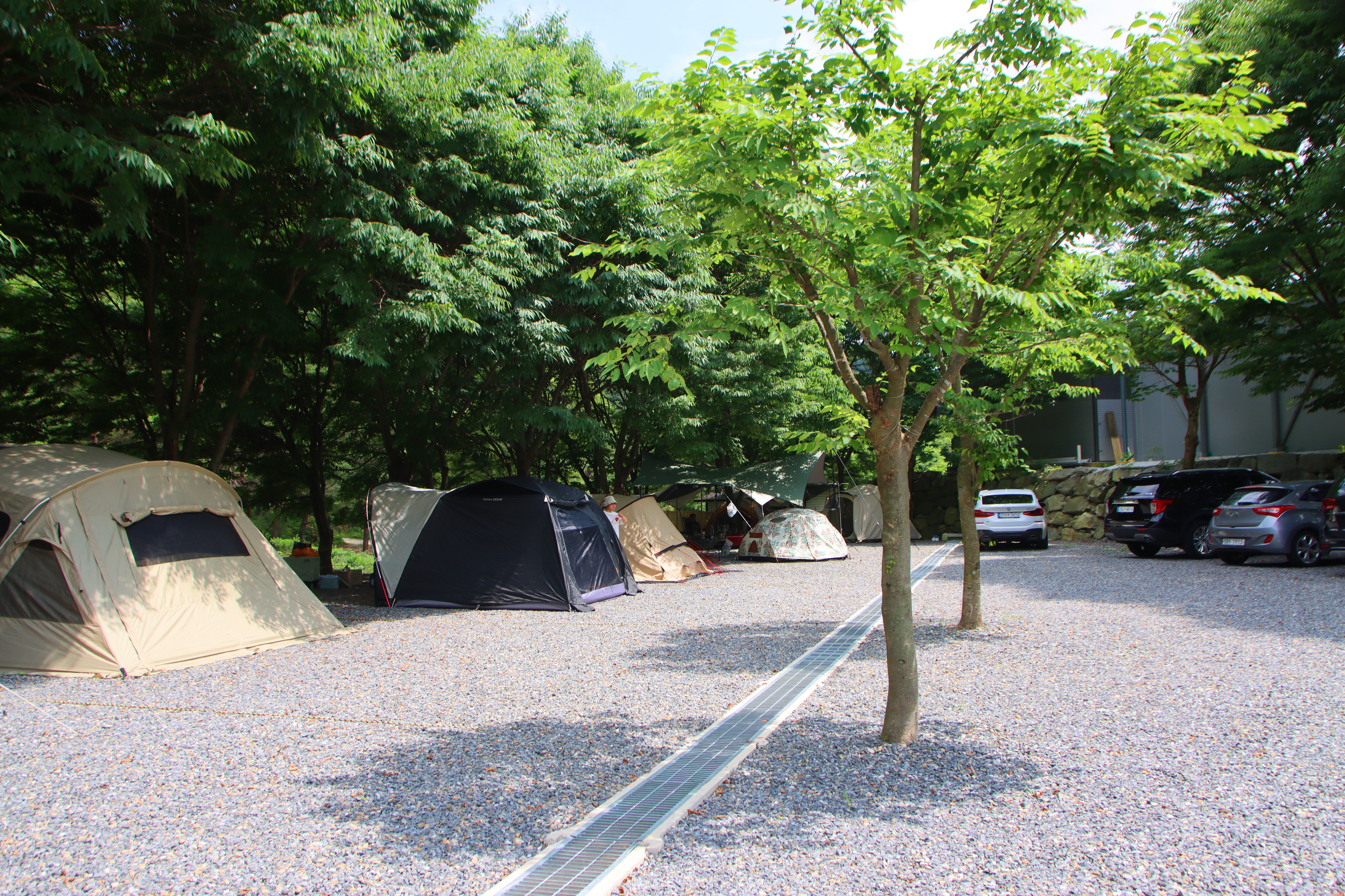 법흥계곡캠핑오늘 15번째 이미지