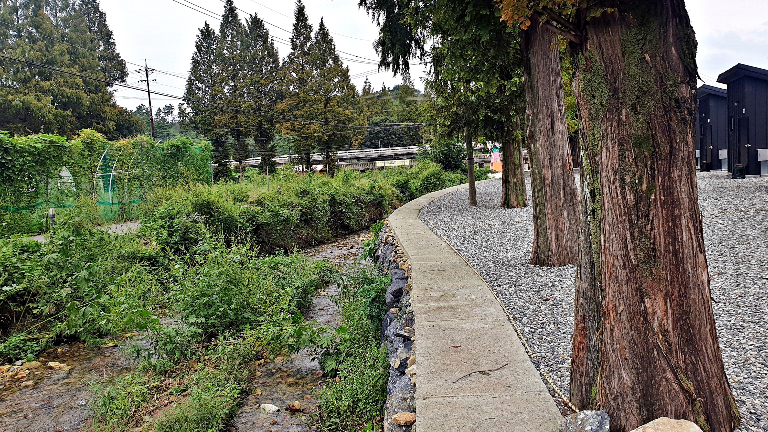 큰마당 오토 캠핑장 이미지