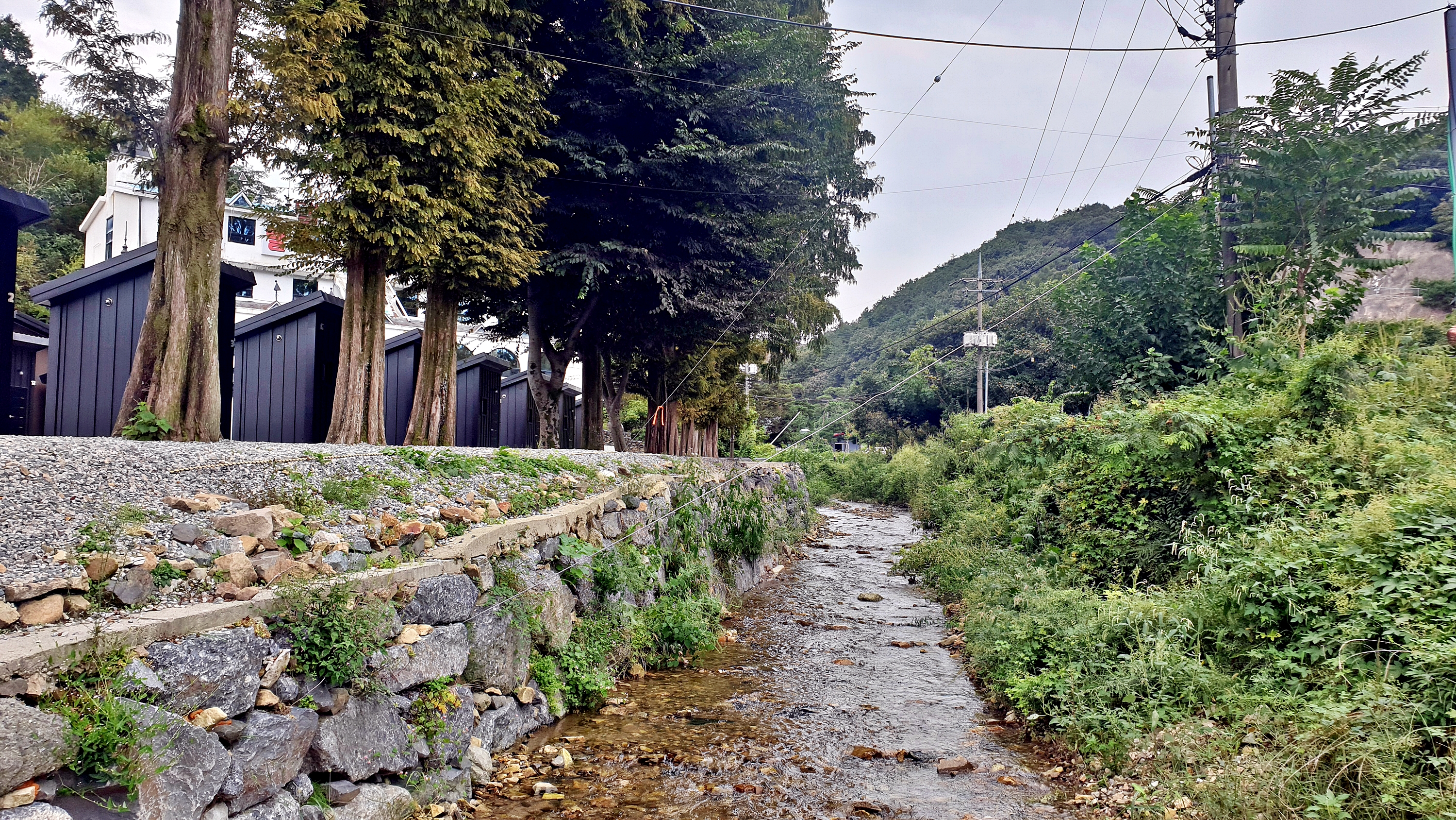 큰마당 오토 캠핑장 이미지