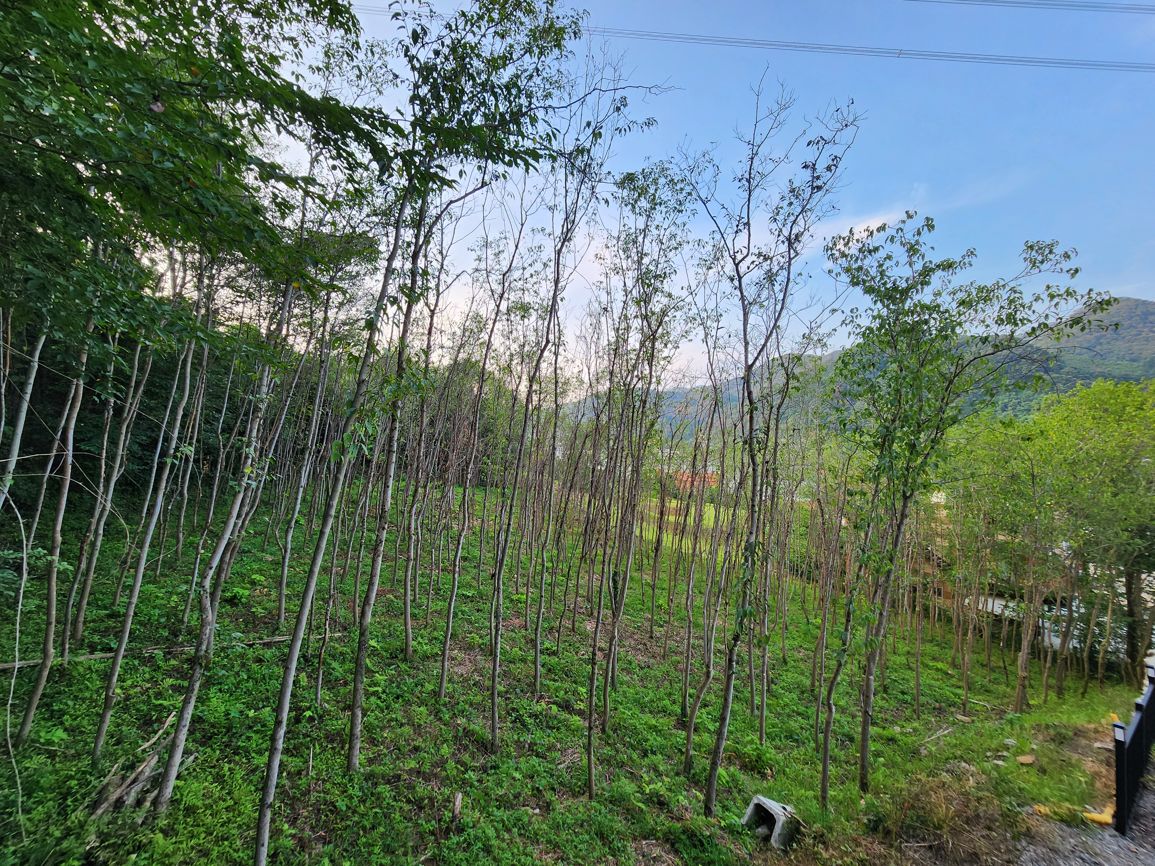 바이올린글램핑&카라반 15번째 이미지