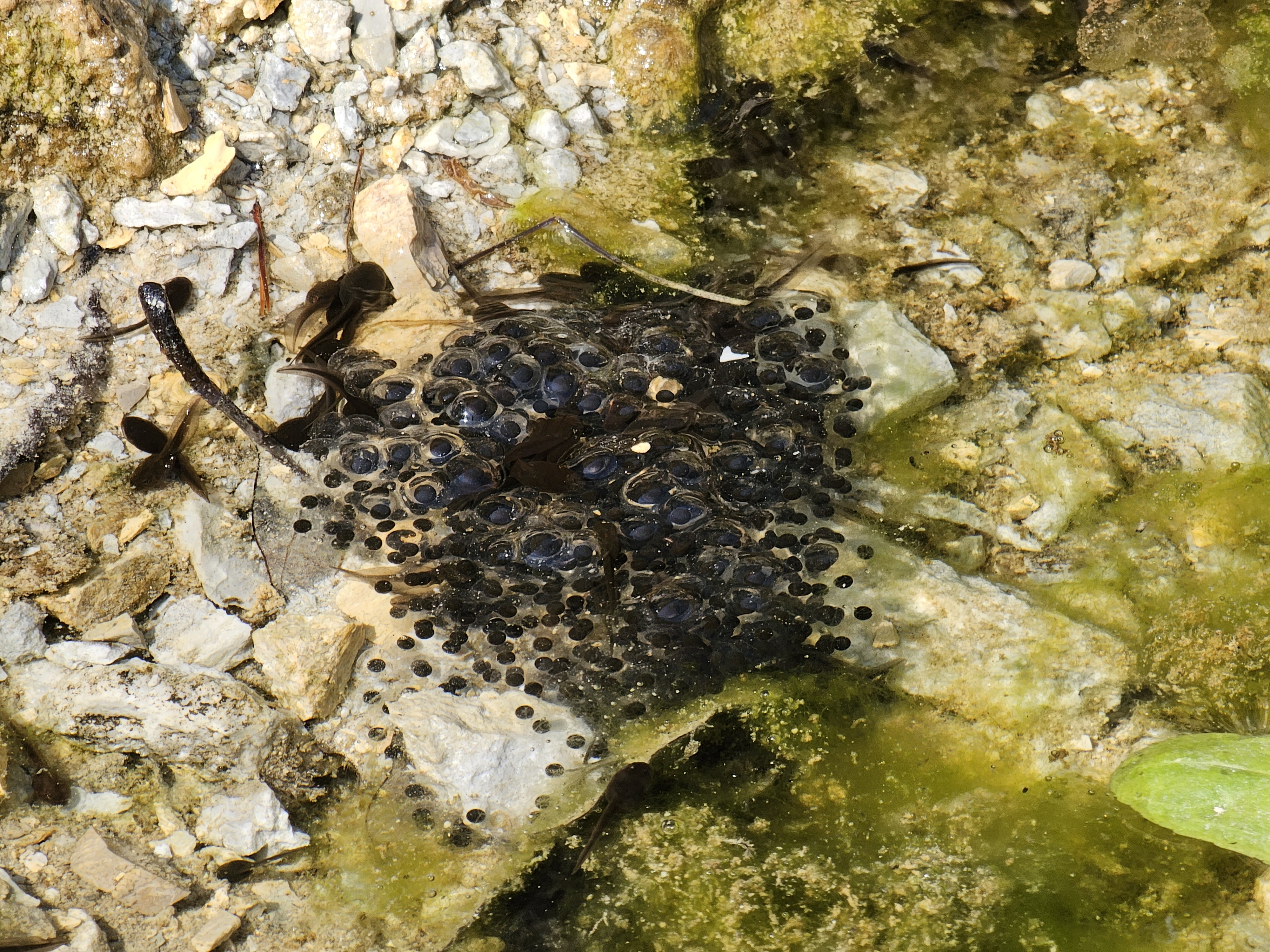 단양 별마루캠핑장 이미지
