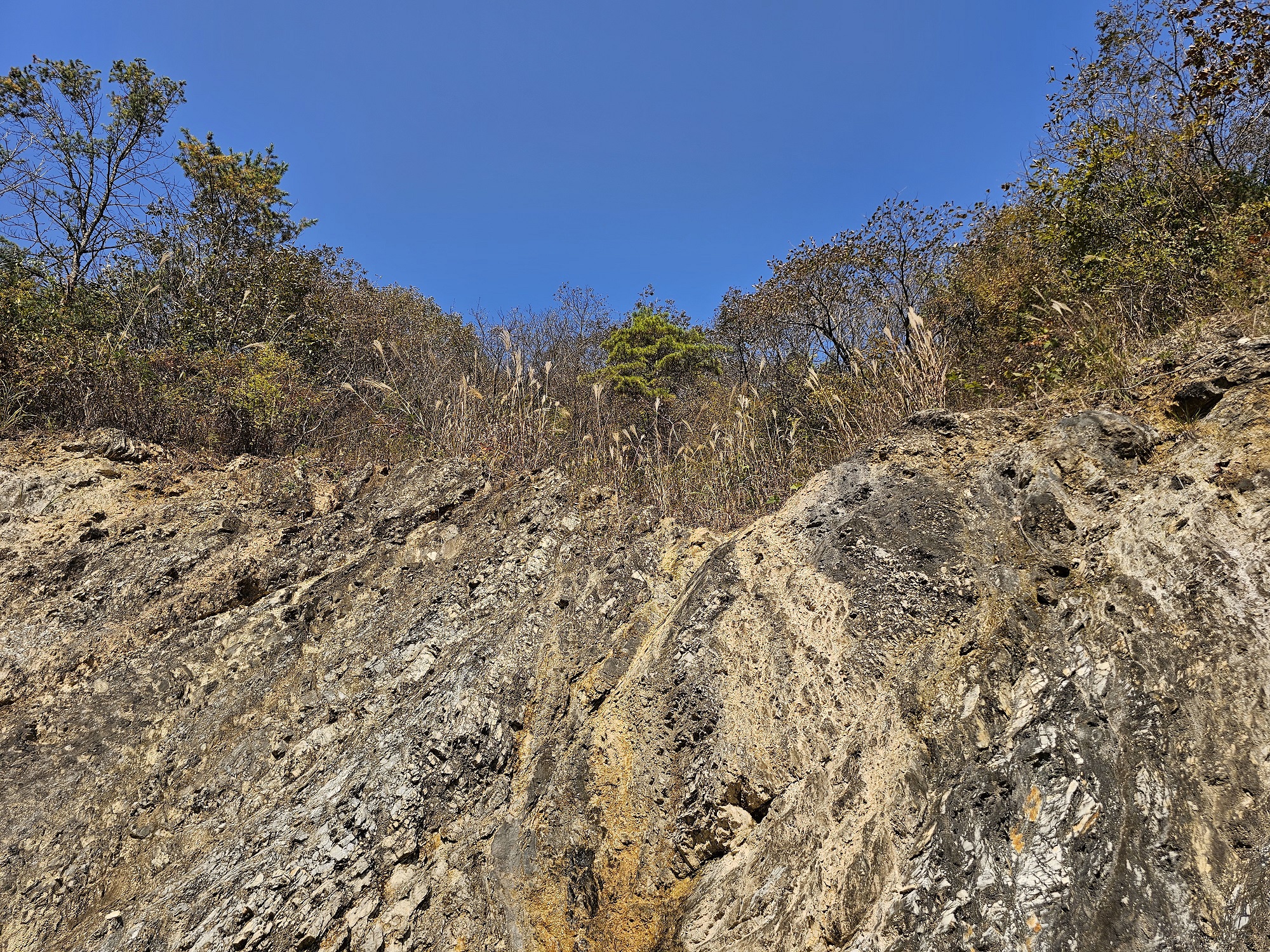단양 별마루캠핑장 이미지