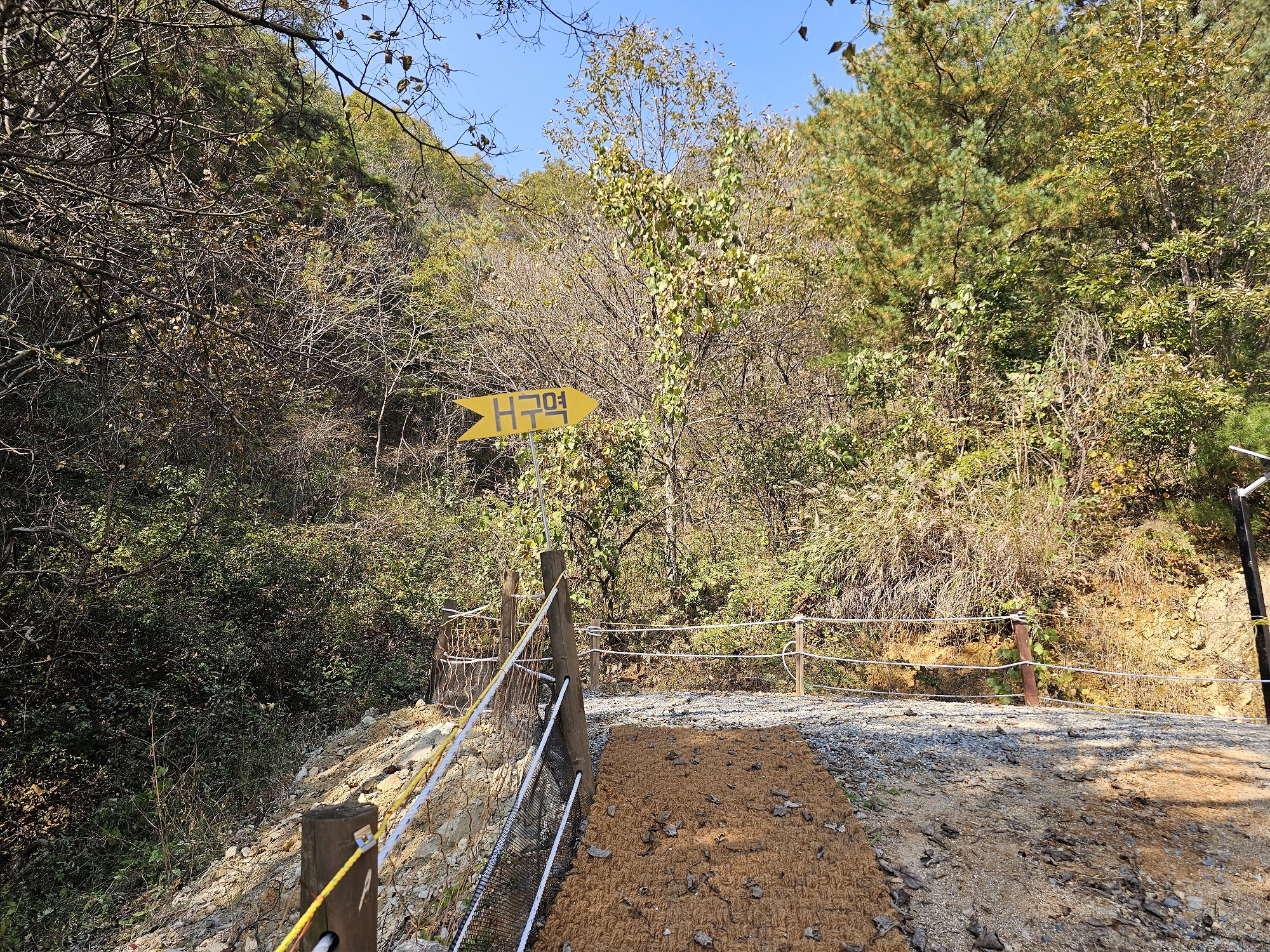 단양 별마루캠핑장 이미지