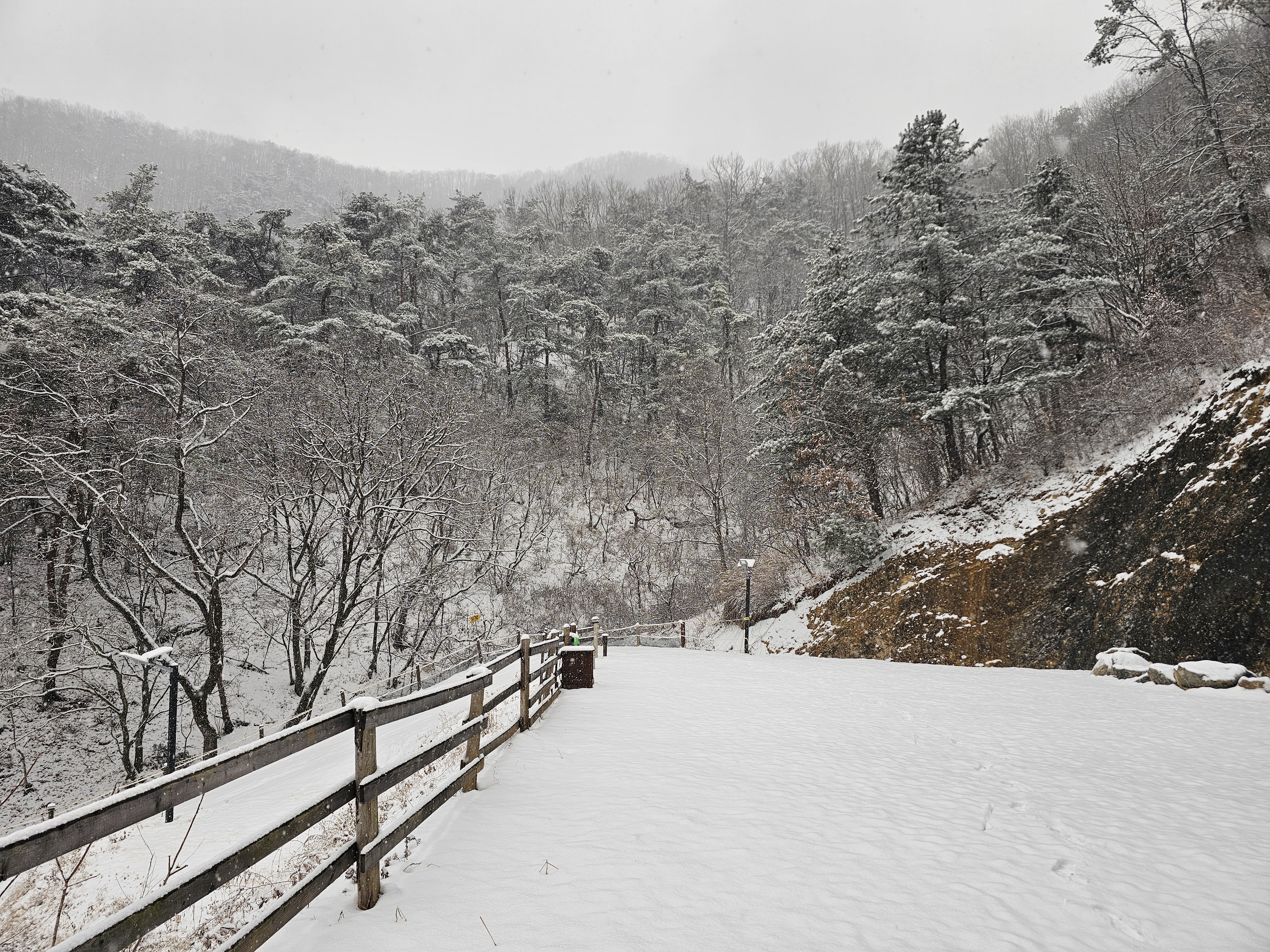 단양 별마루캠핑장 이미지