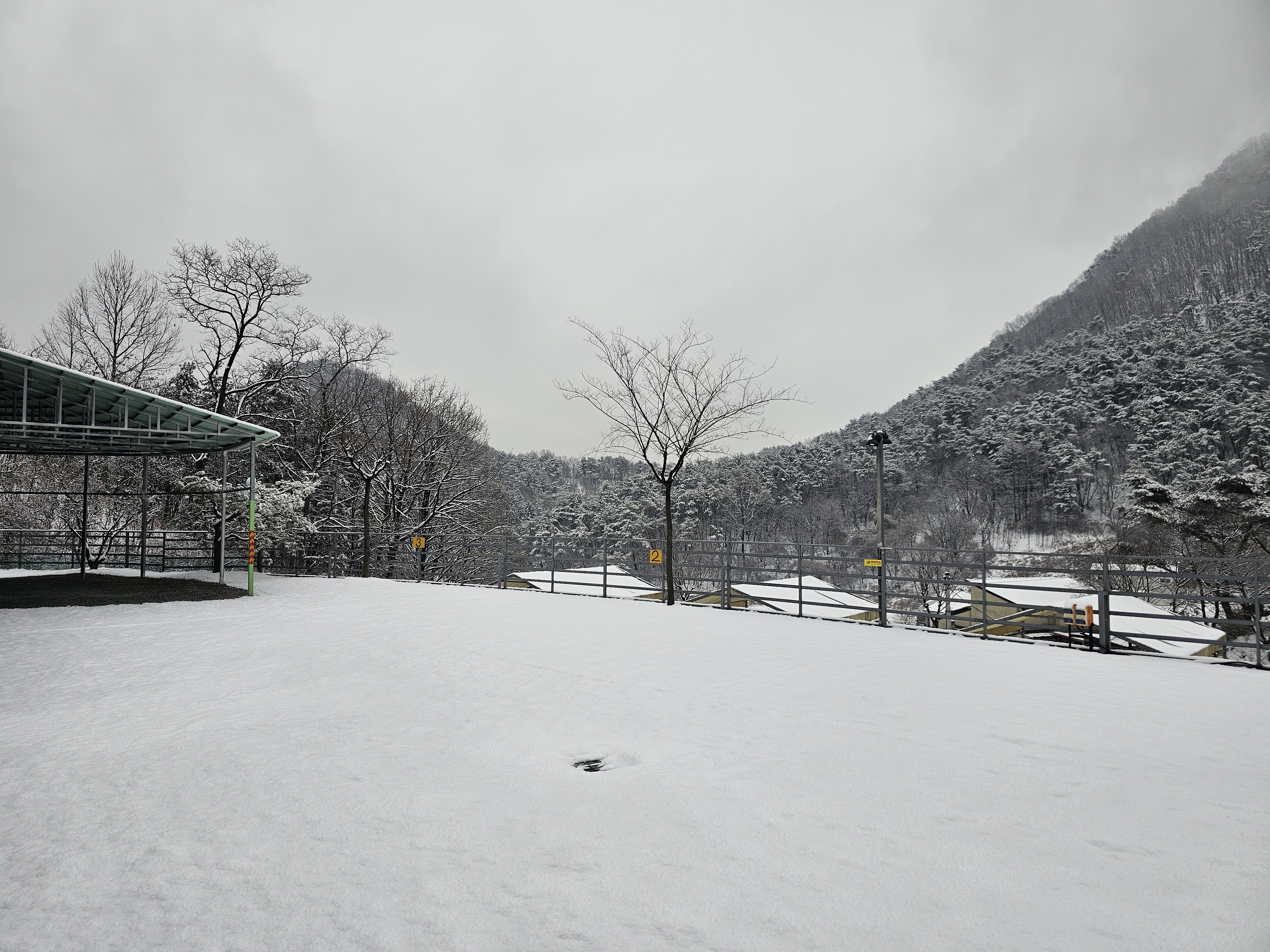 단양 별마루캠핑장 이미지