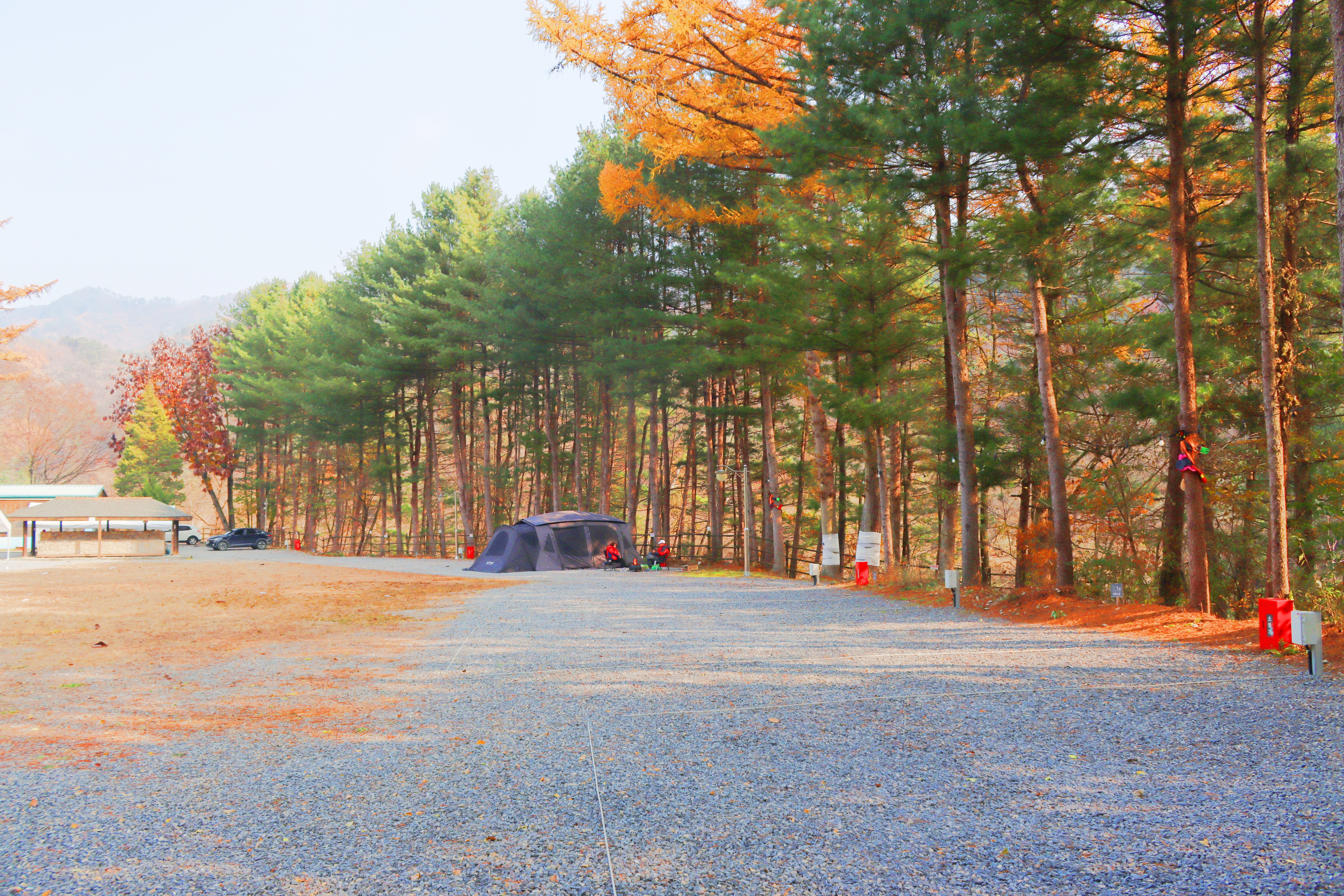 어게인 스쿨 이미지