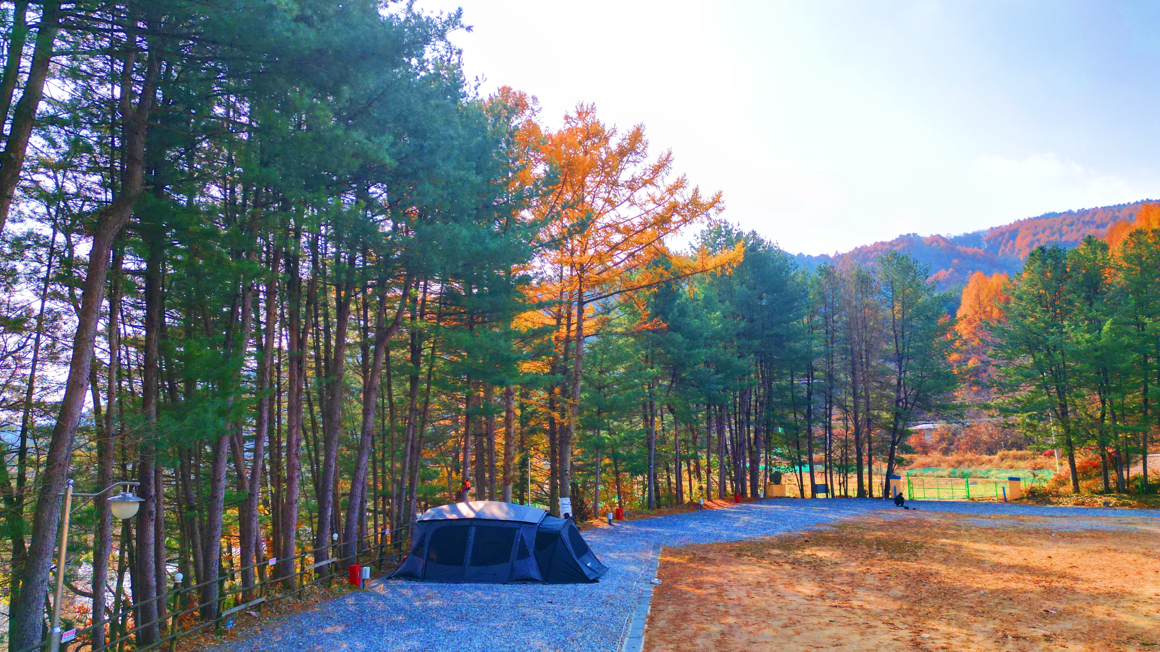 어게인 스쿨 이미지