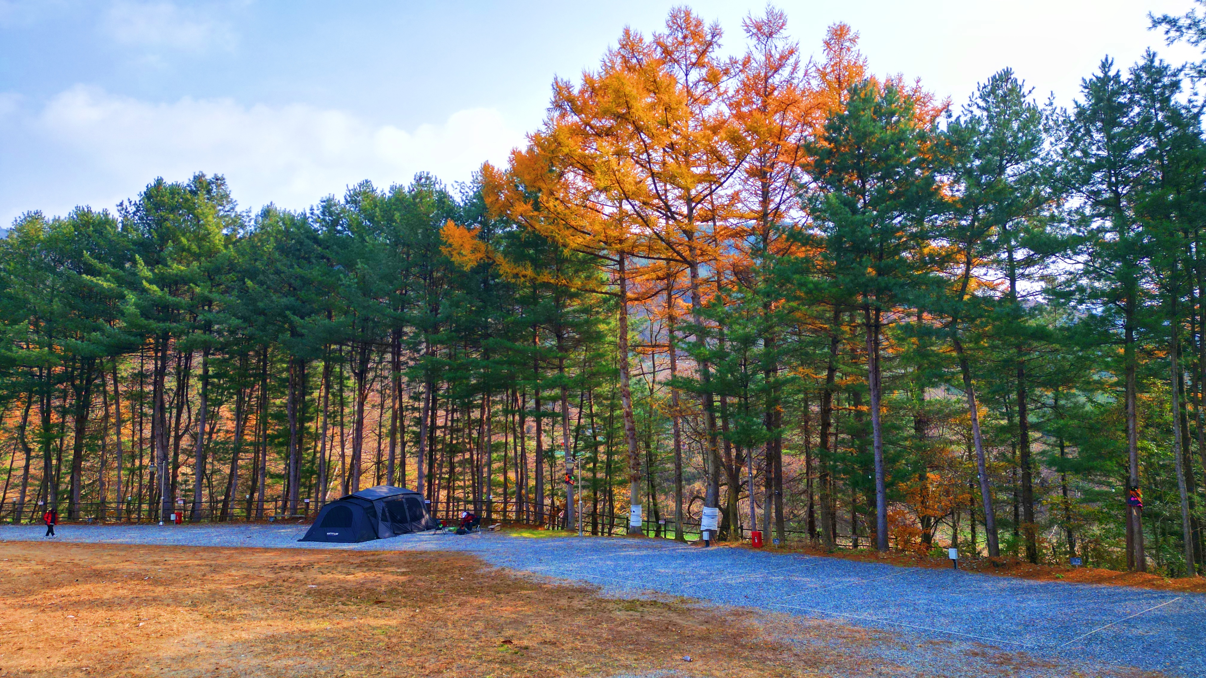 어게인 스쿨 이미지