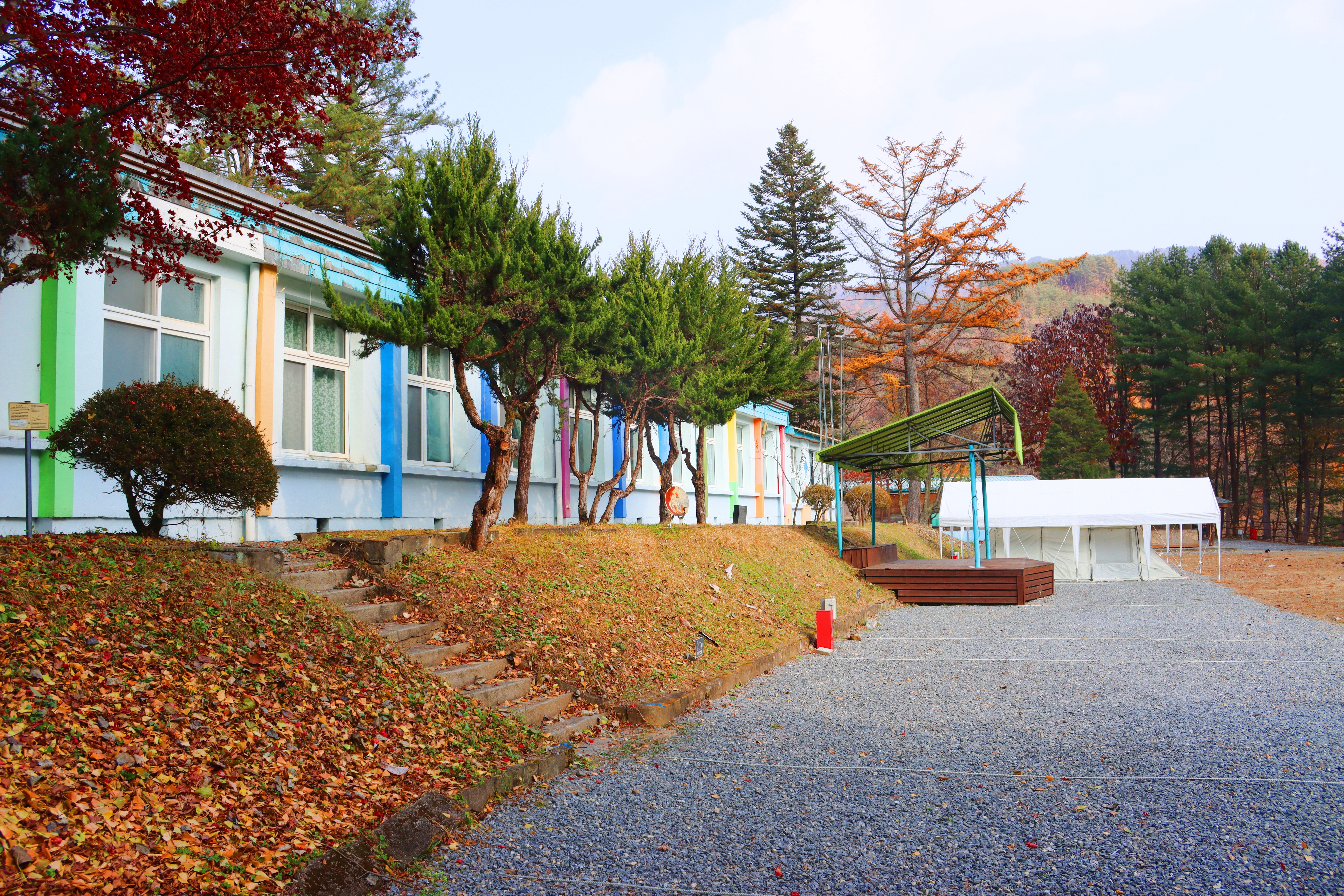 어게인 스쿨 이미지