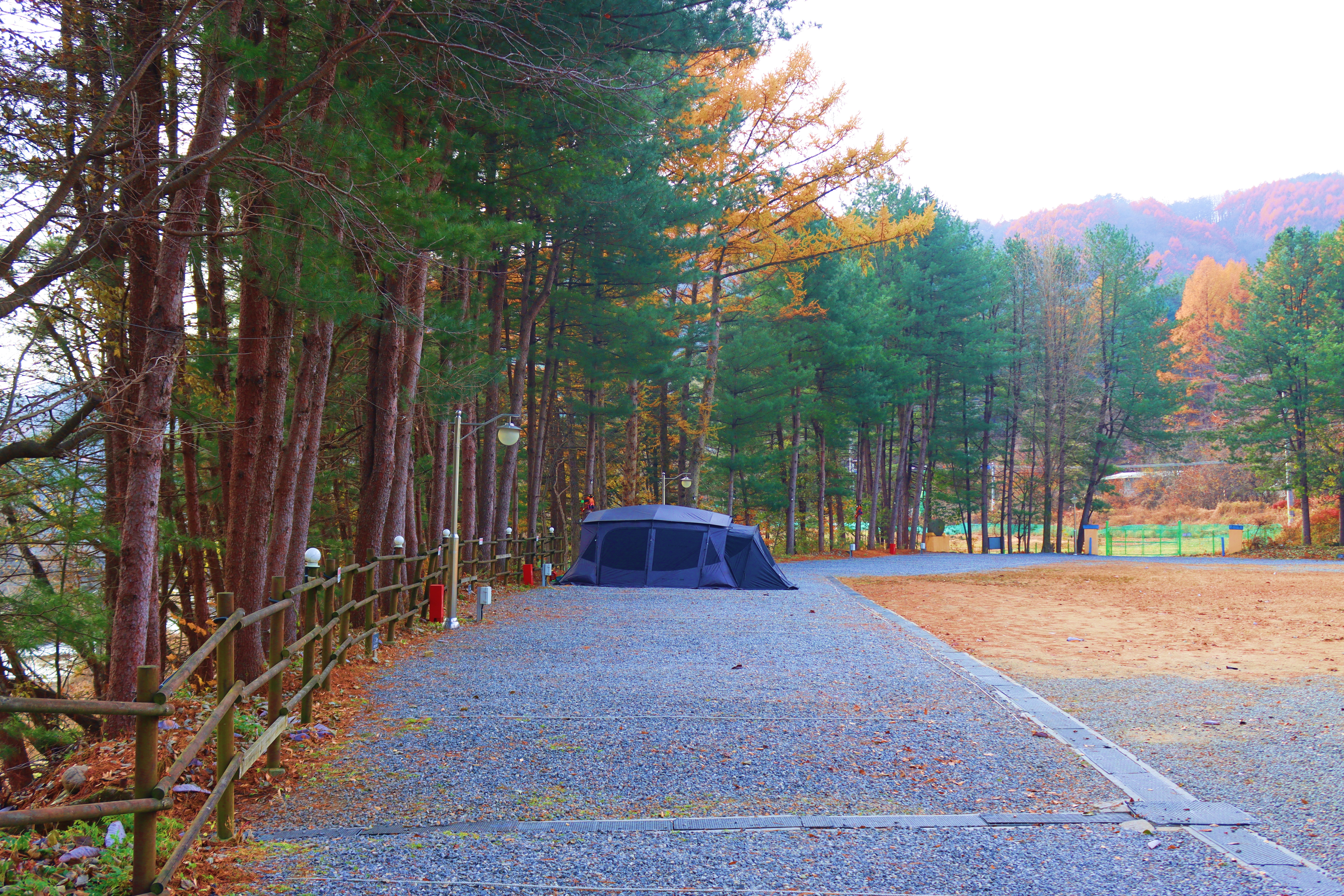 어게인 스쿨 이미지