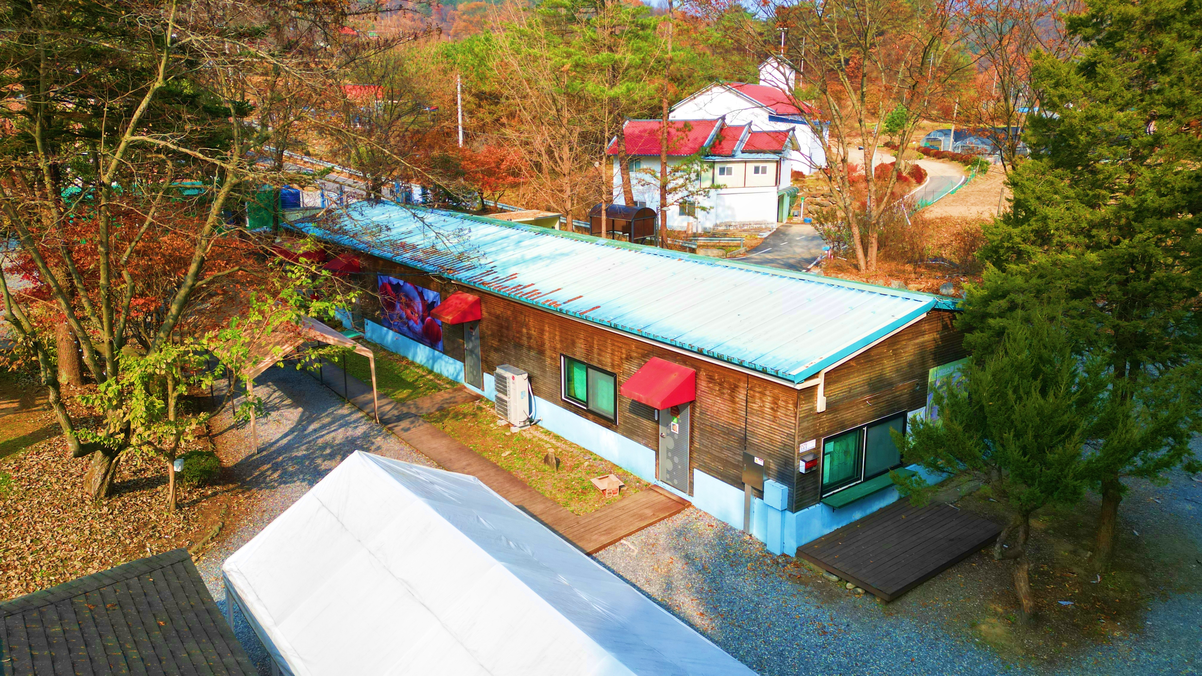 어게인 스쿨 이미지