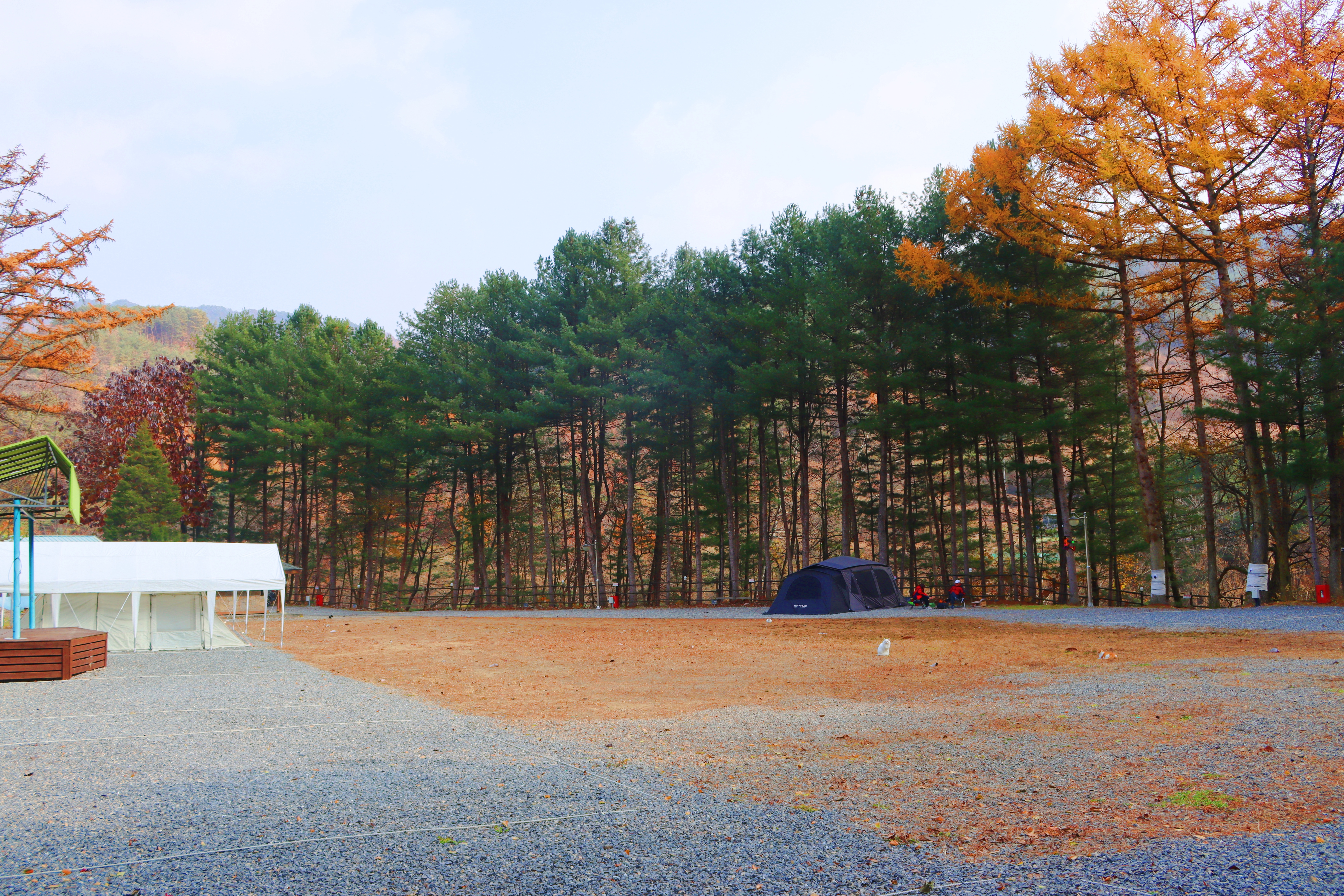 어게인 스쿨 이미지