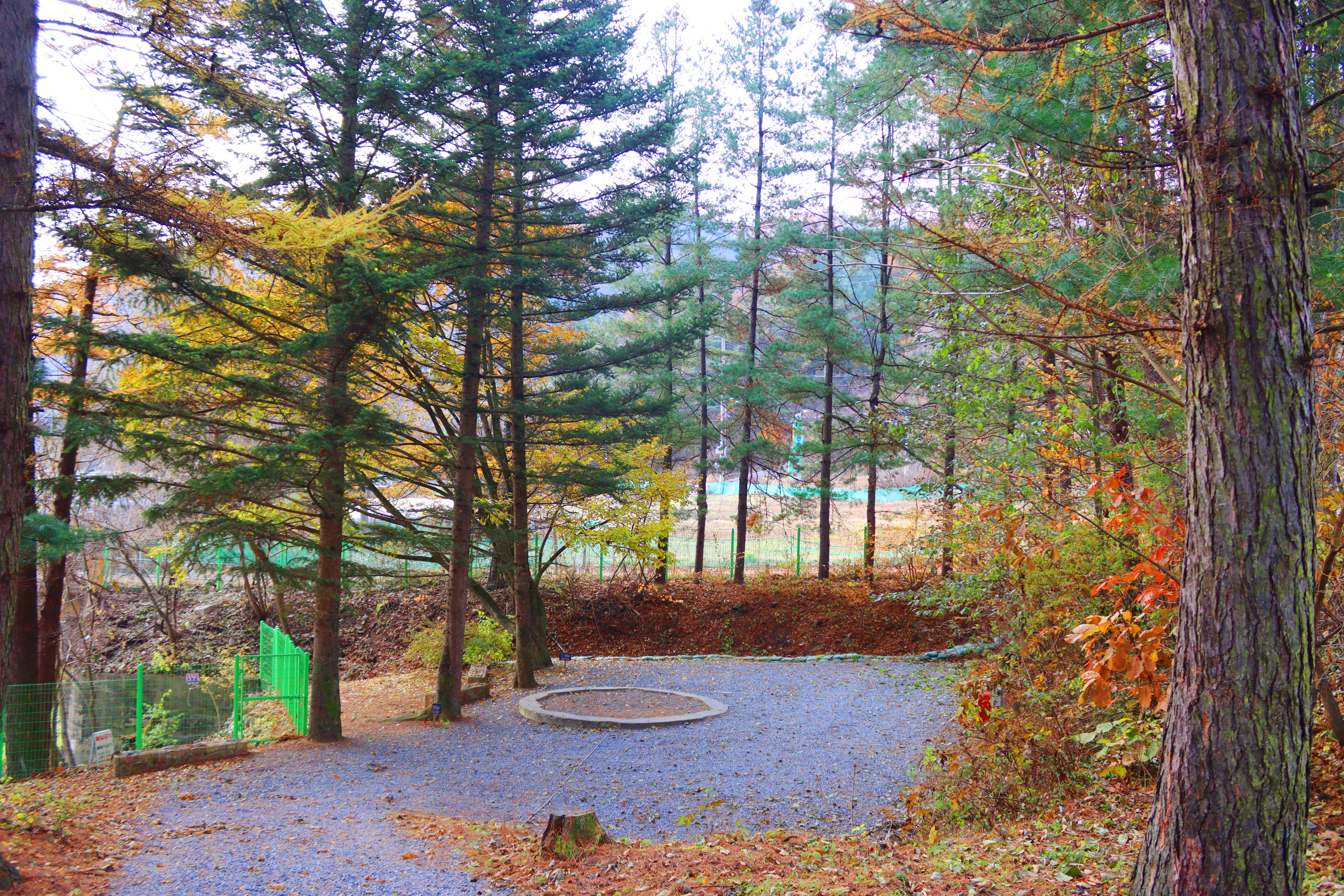 어게인 스쿨 이미지