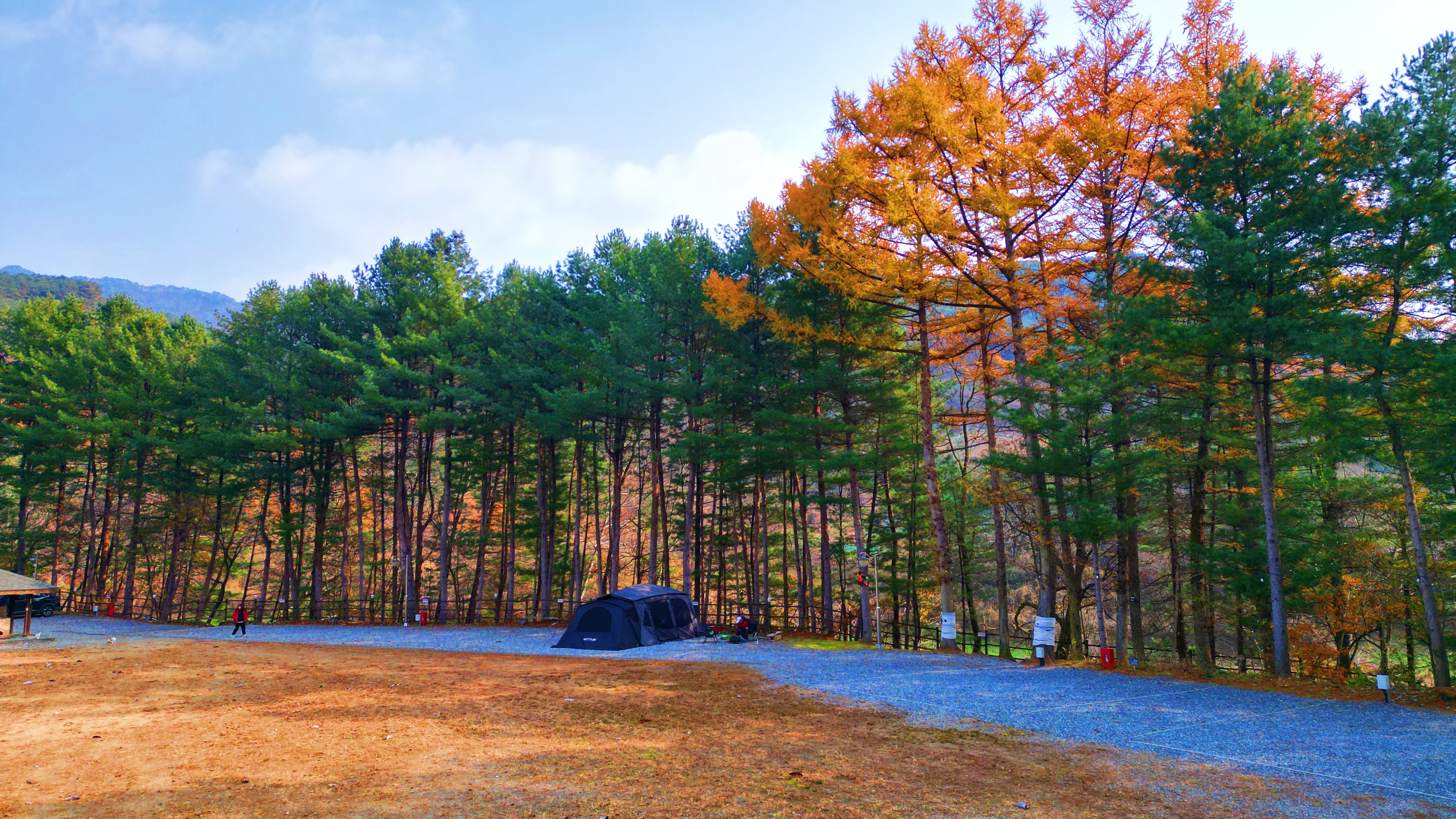 어게인 스쿨 이미지