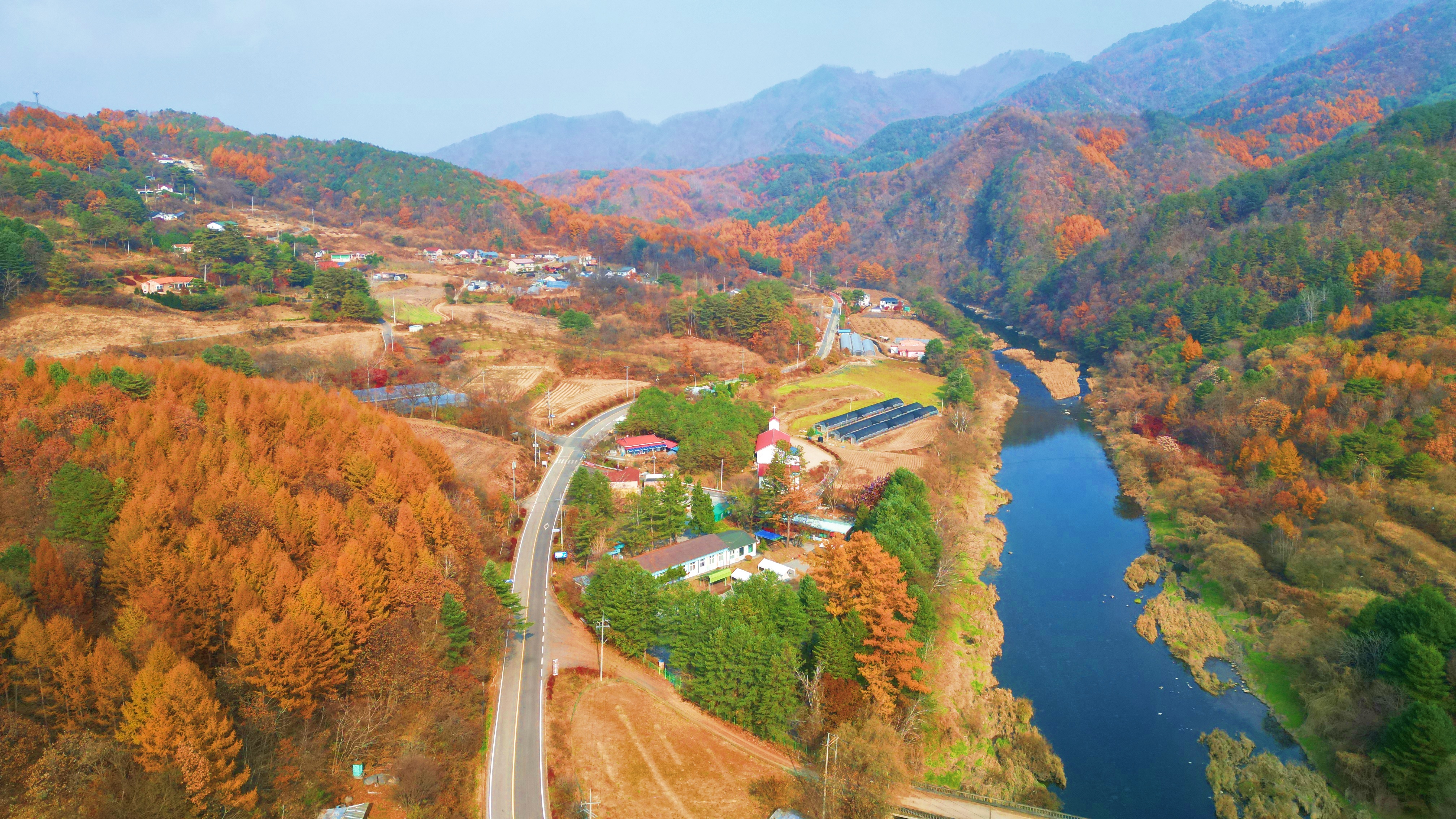 어게인 스쿨 이미지
