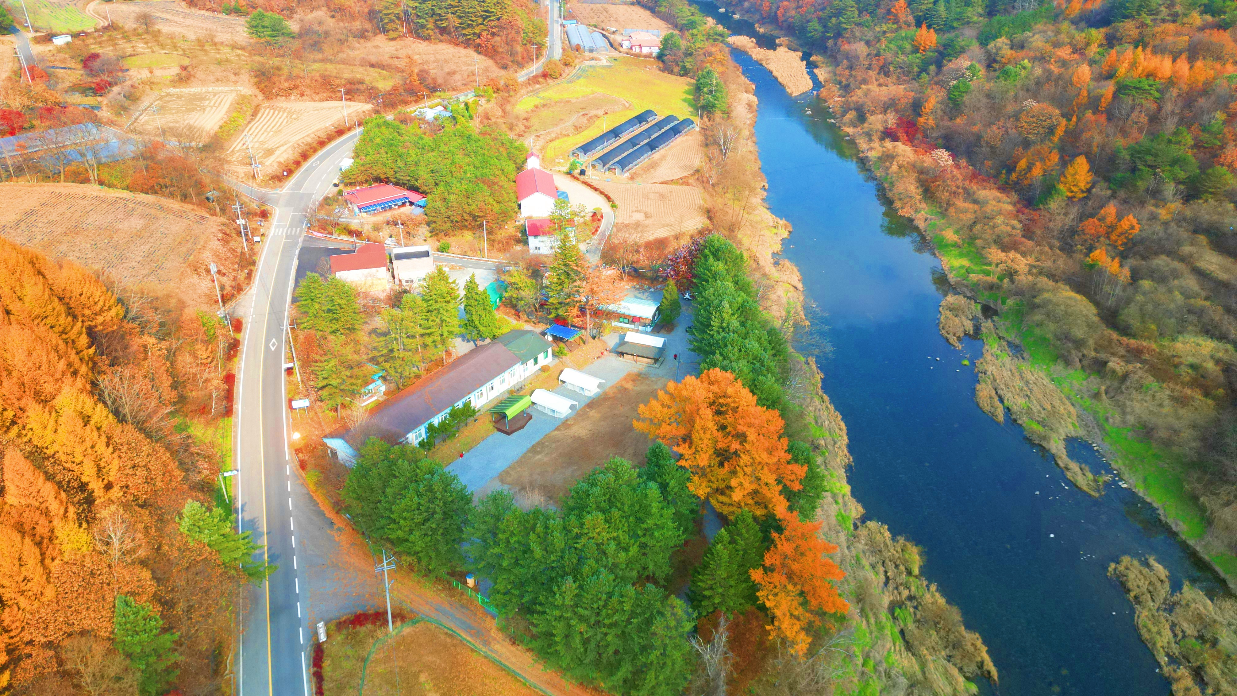 어게인 스쿨 이미지