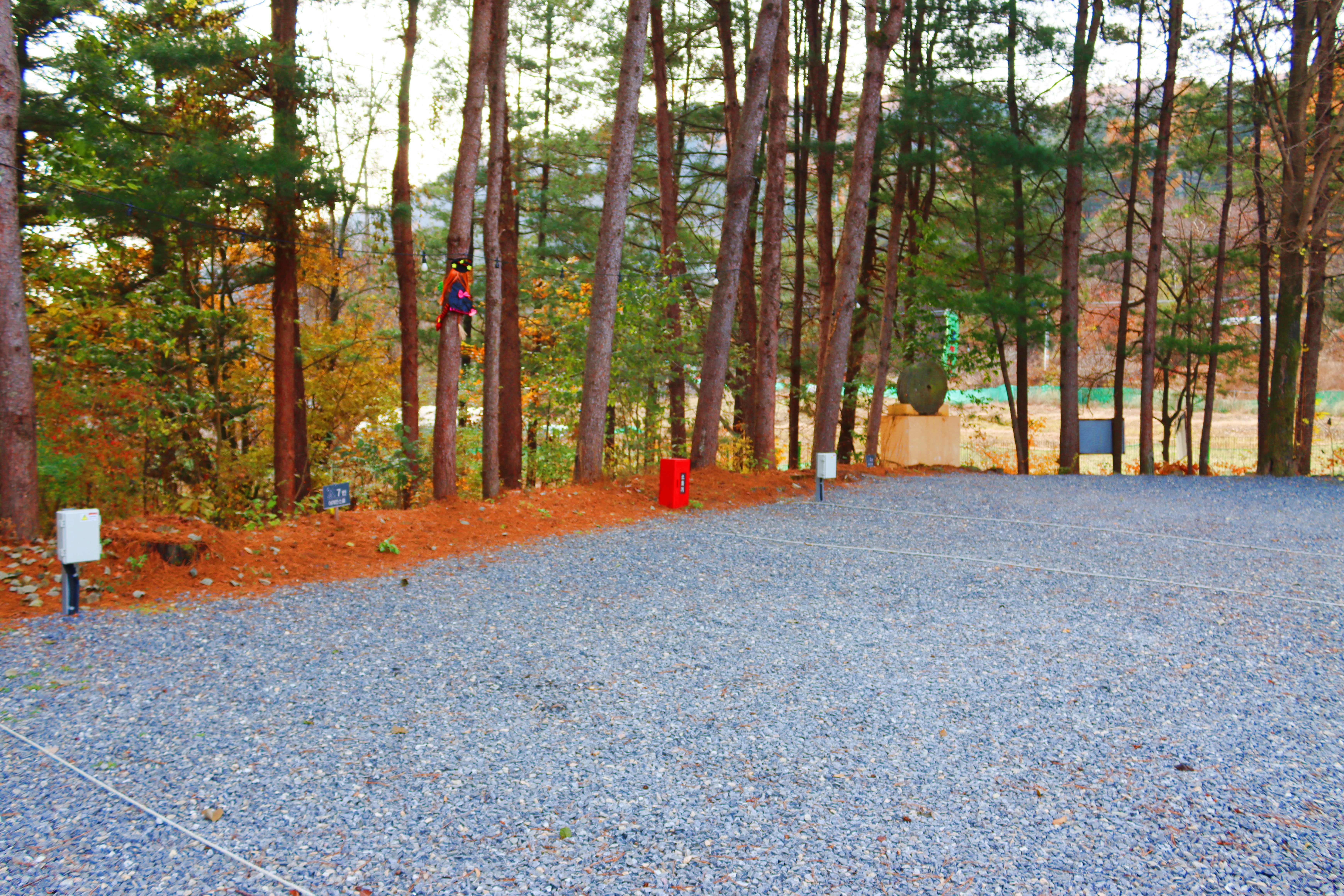 어게인 스쿨 이미지