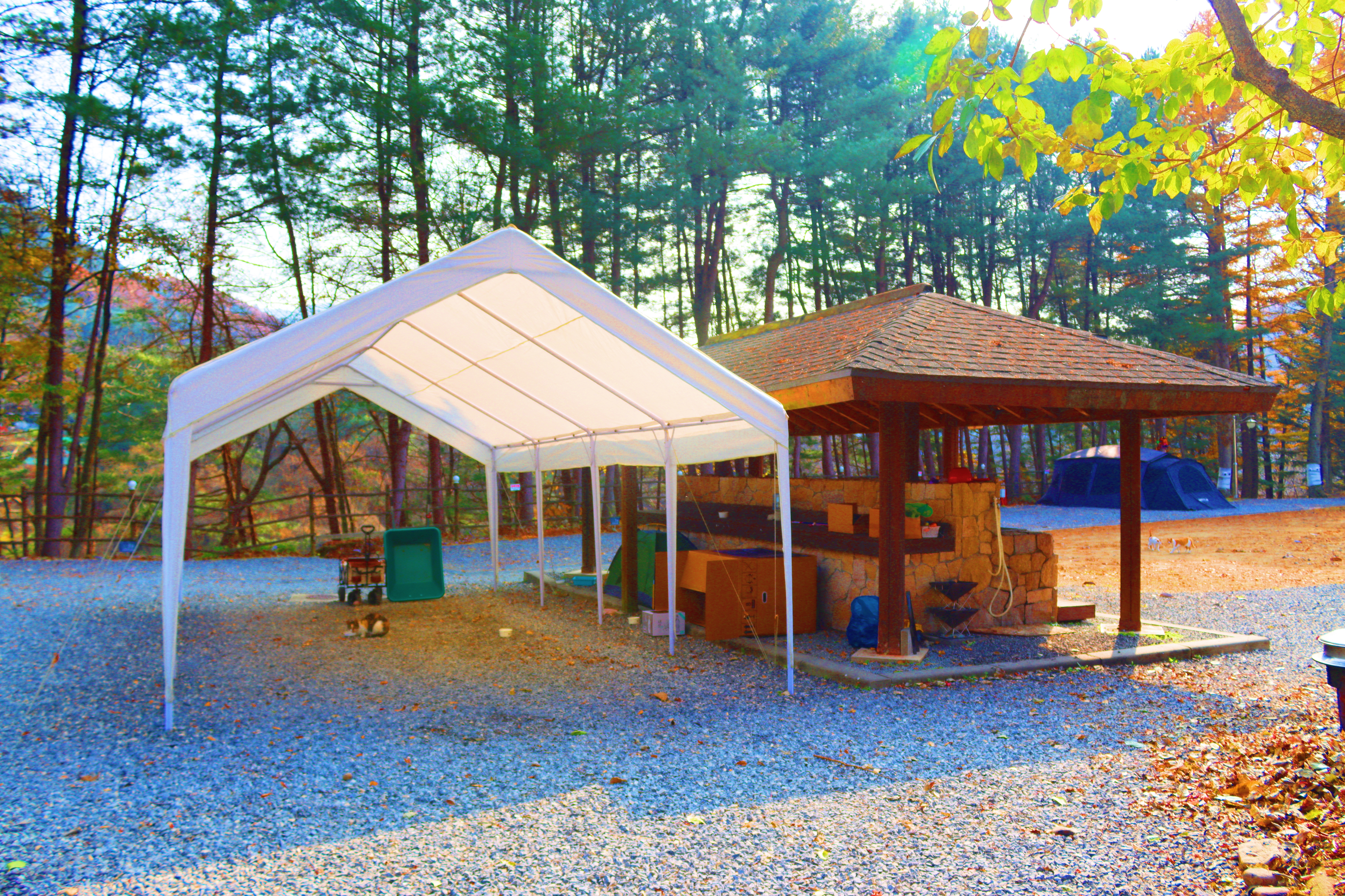 어게인 스쿨 이미지