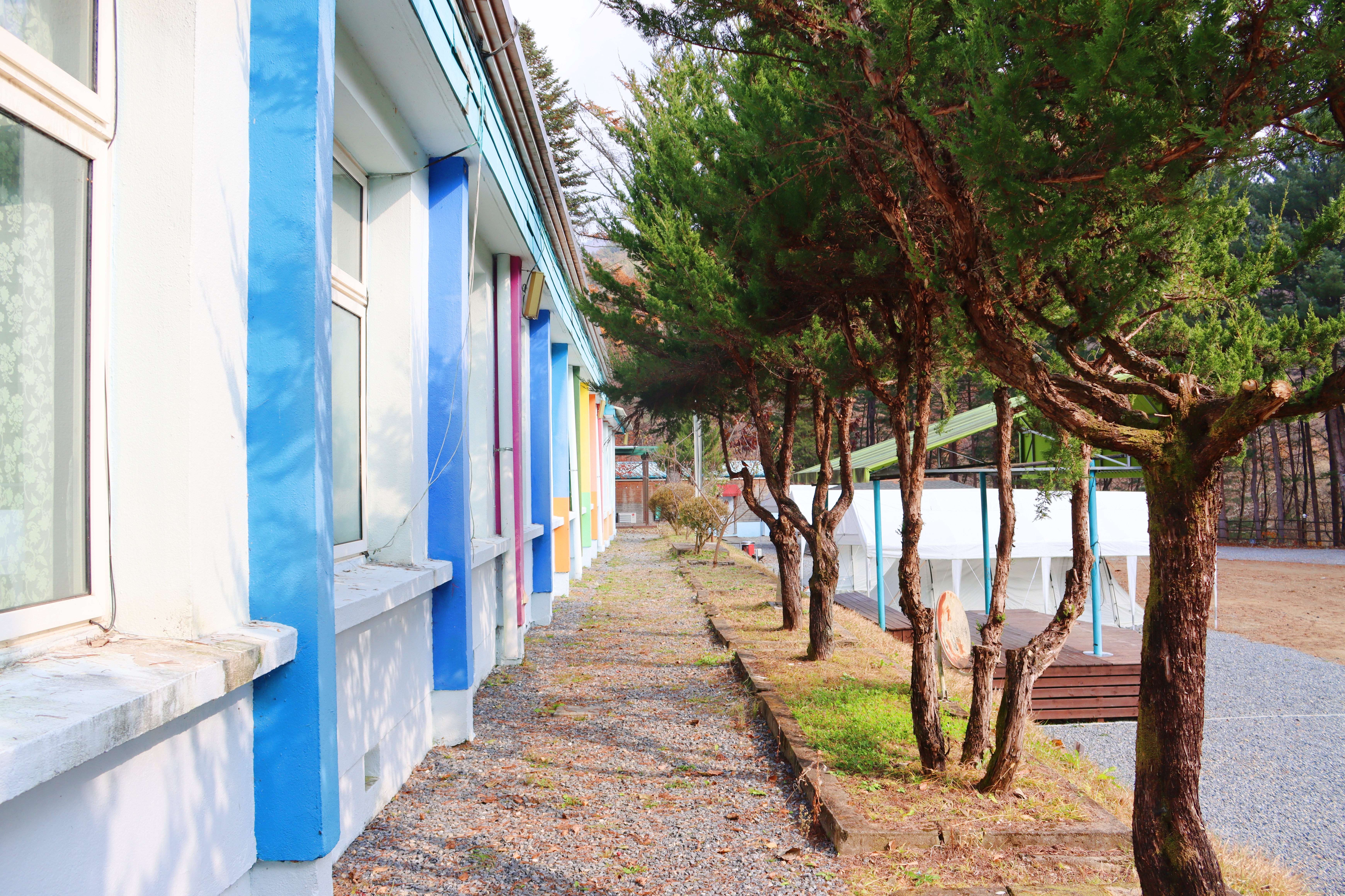 어게인 스쿨 이미지