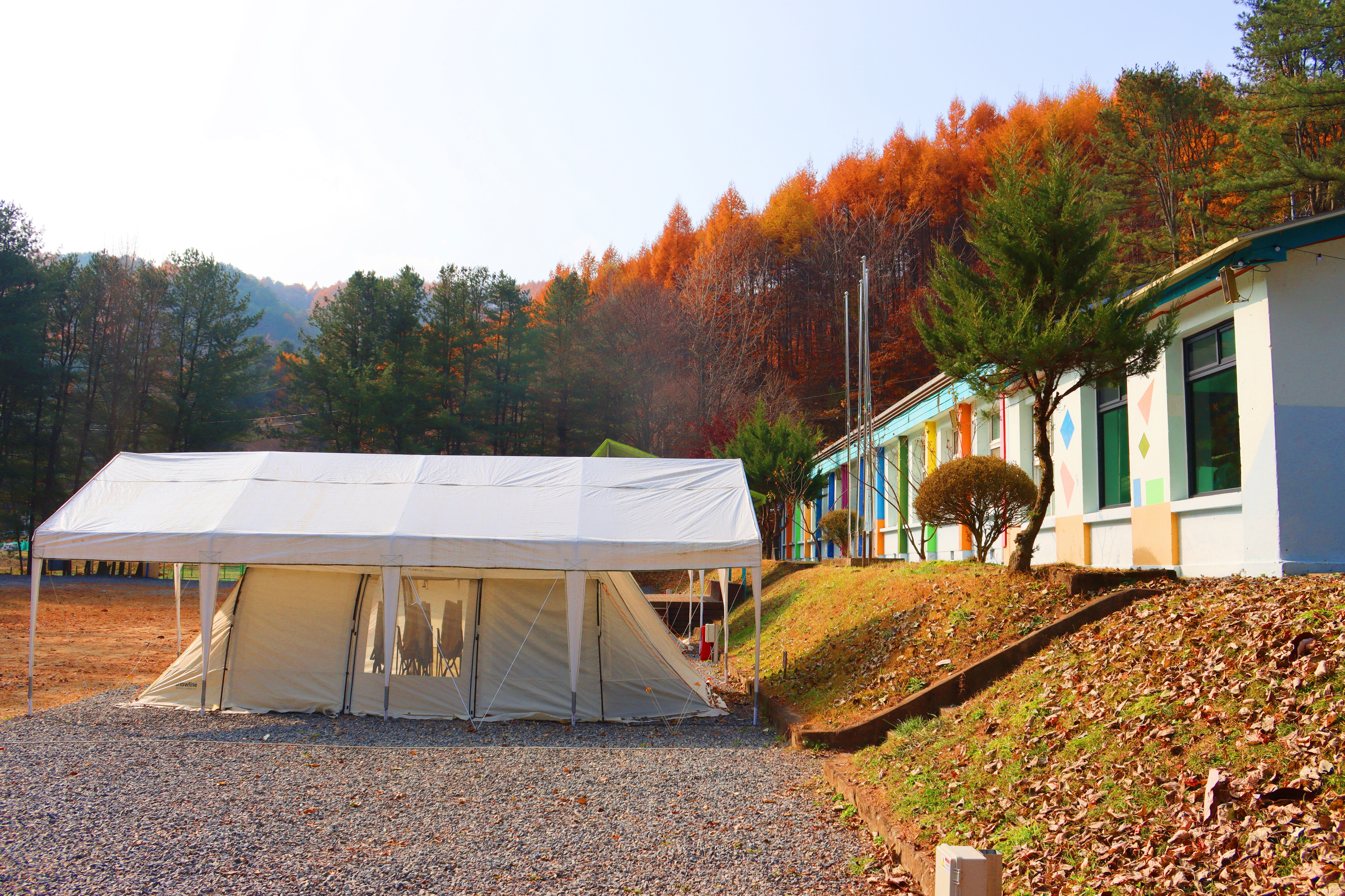 어게인 스쿨 이미지