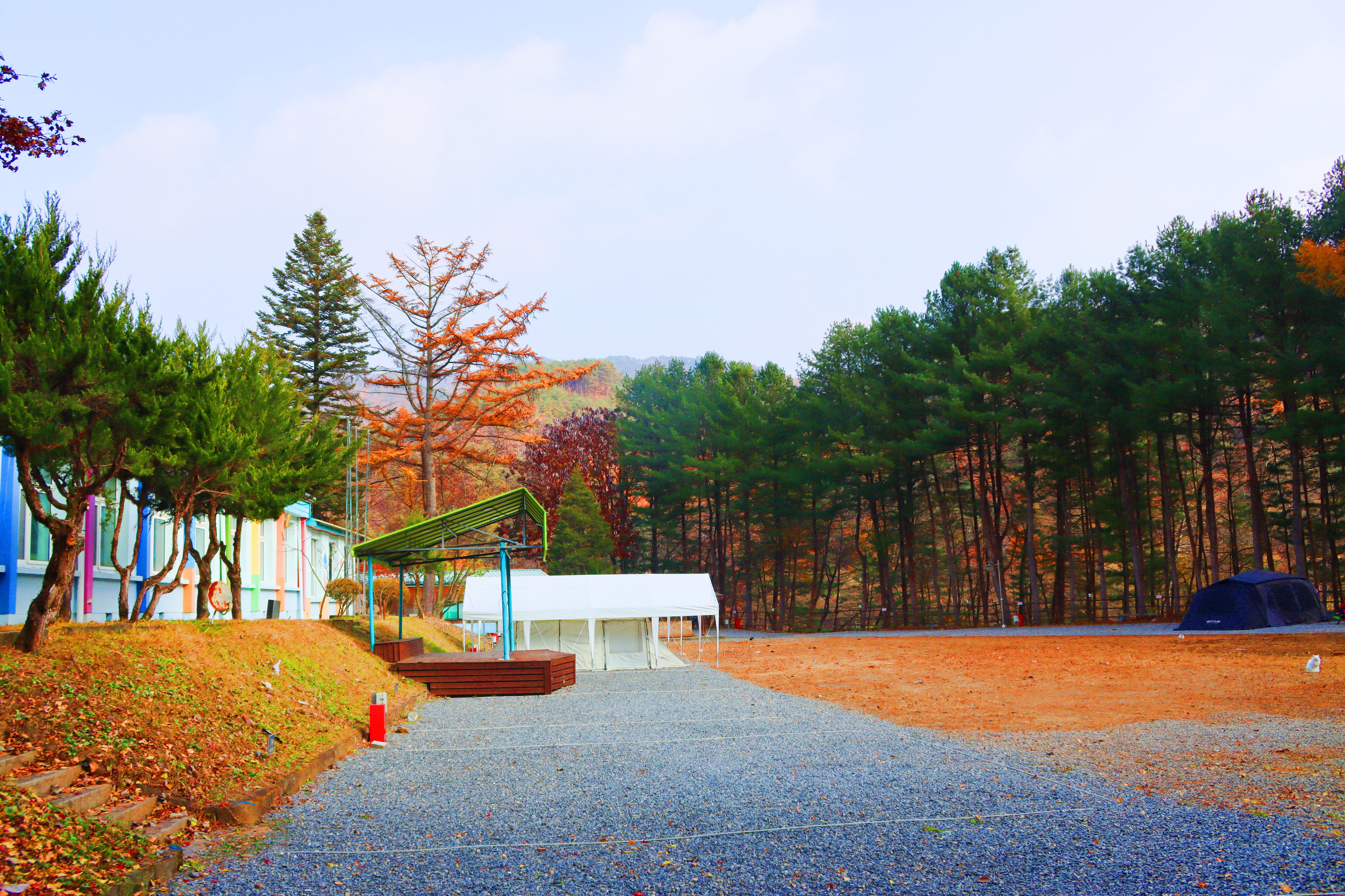 어게인 스쿨 이미지